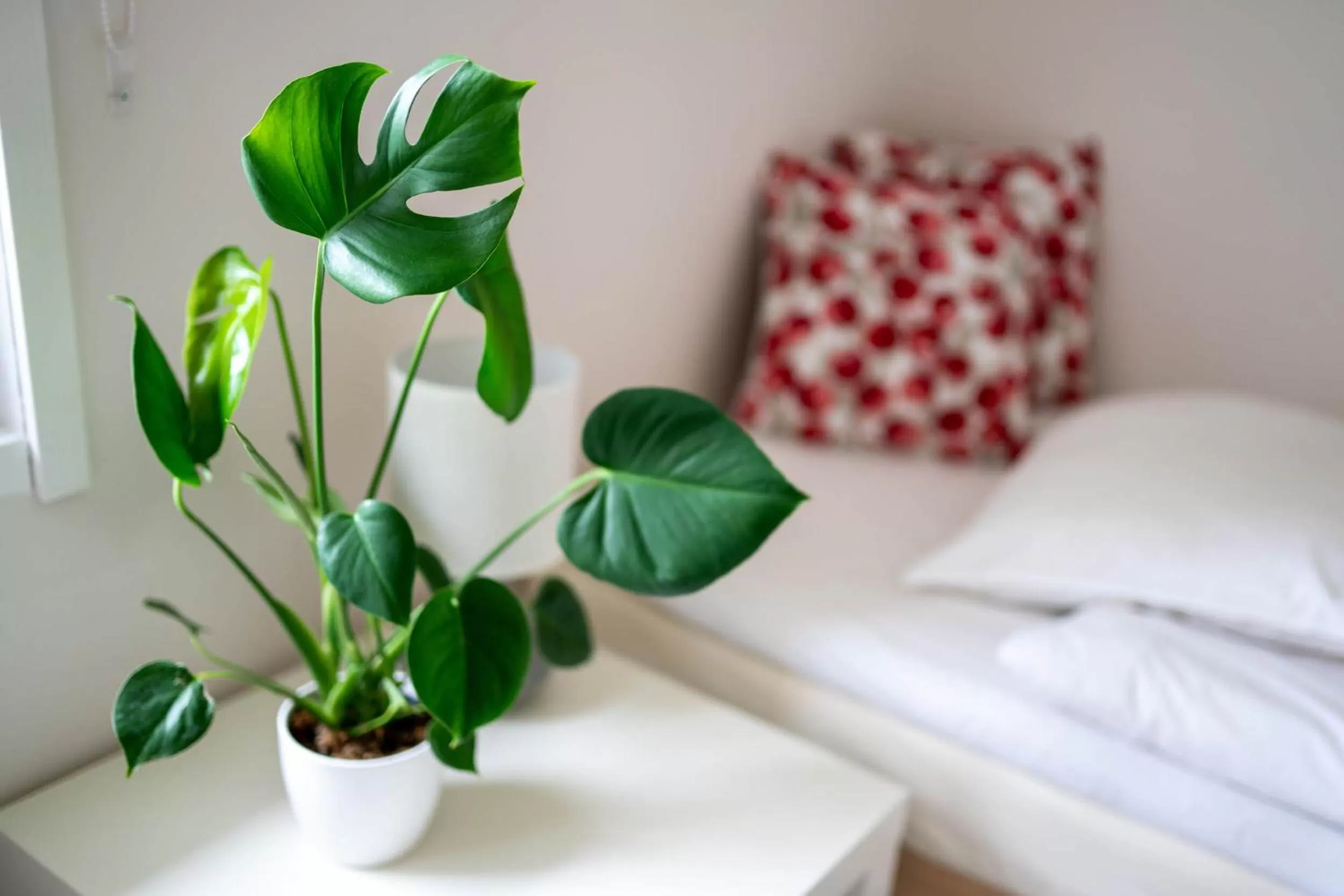 Decorative detail in Olo Center by Kolovesi National Park