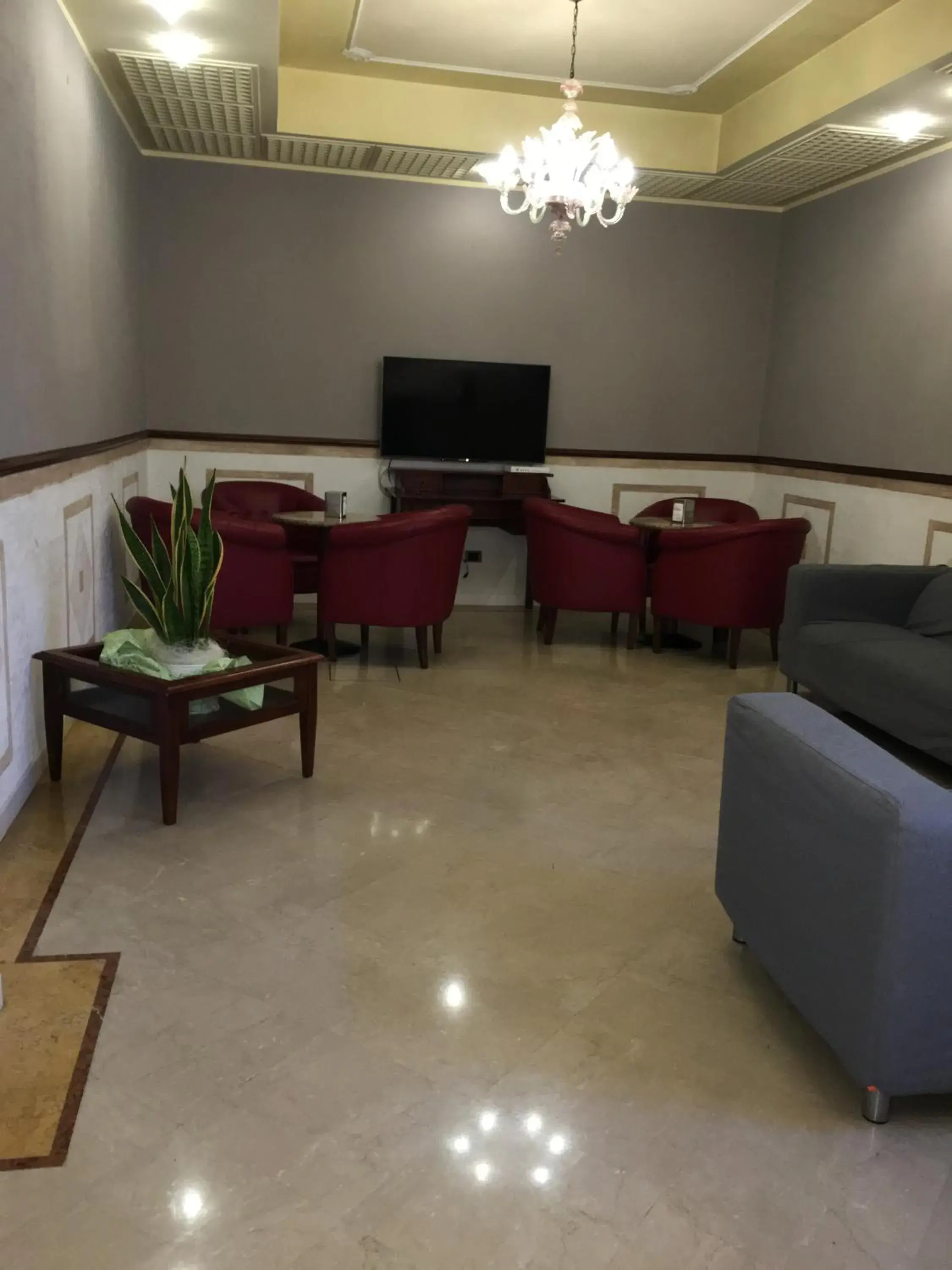 Communal lounge/ TV room in Hotel Ducale