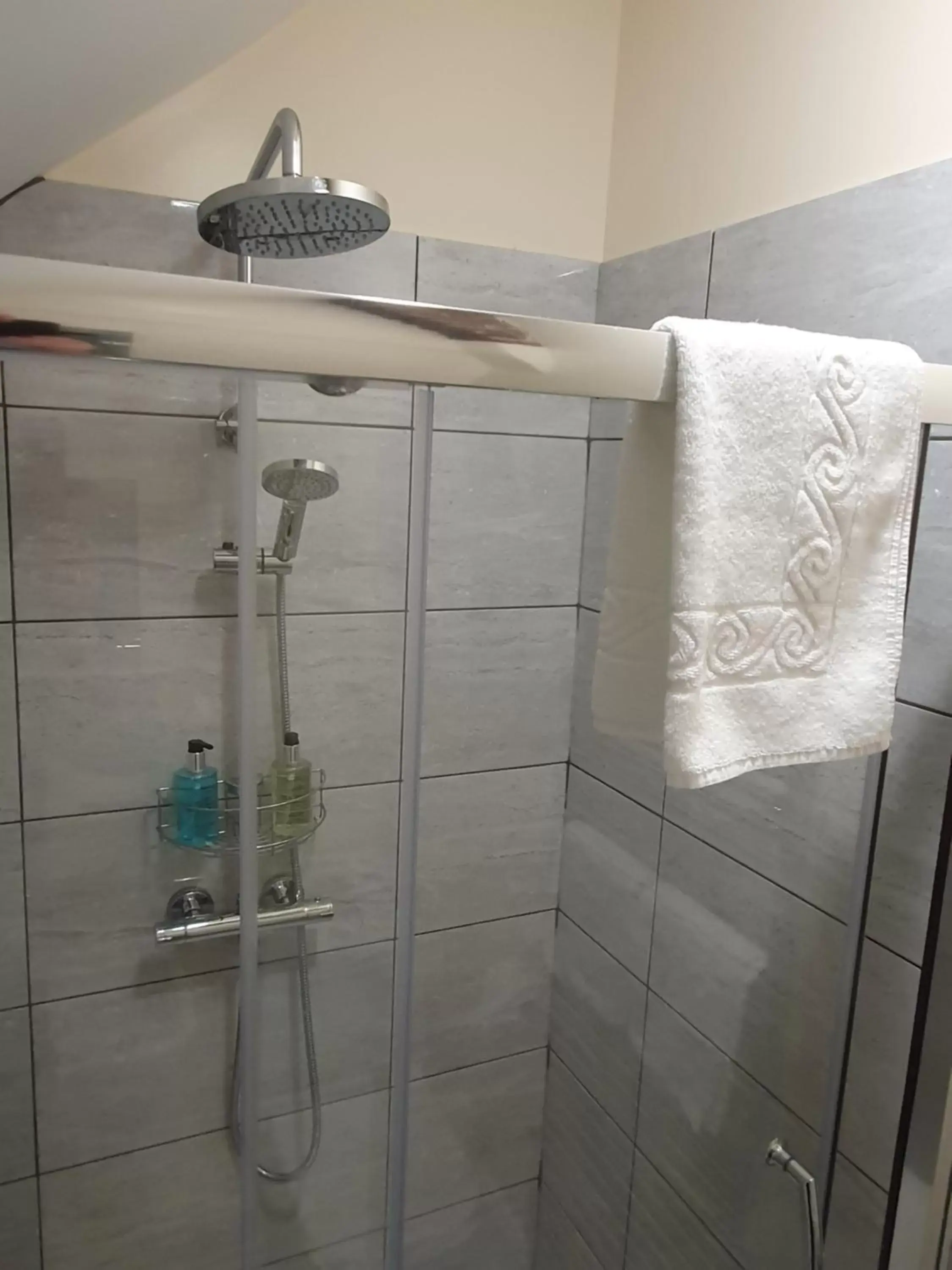 Shower, Bathroom in Alexandra Hotel