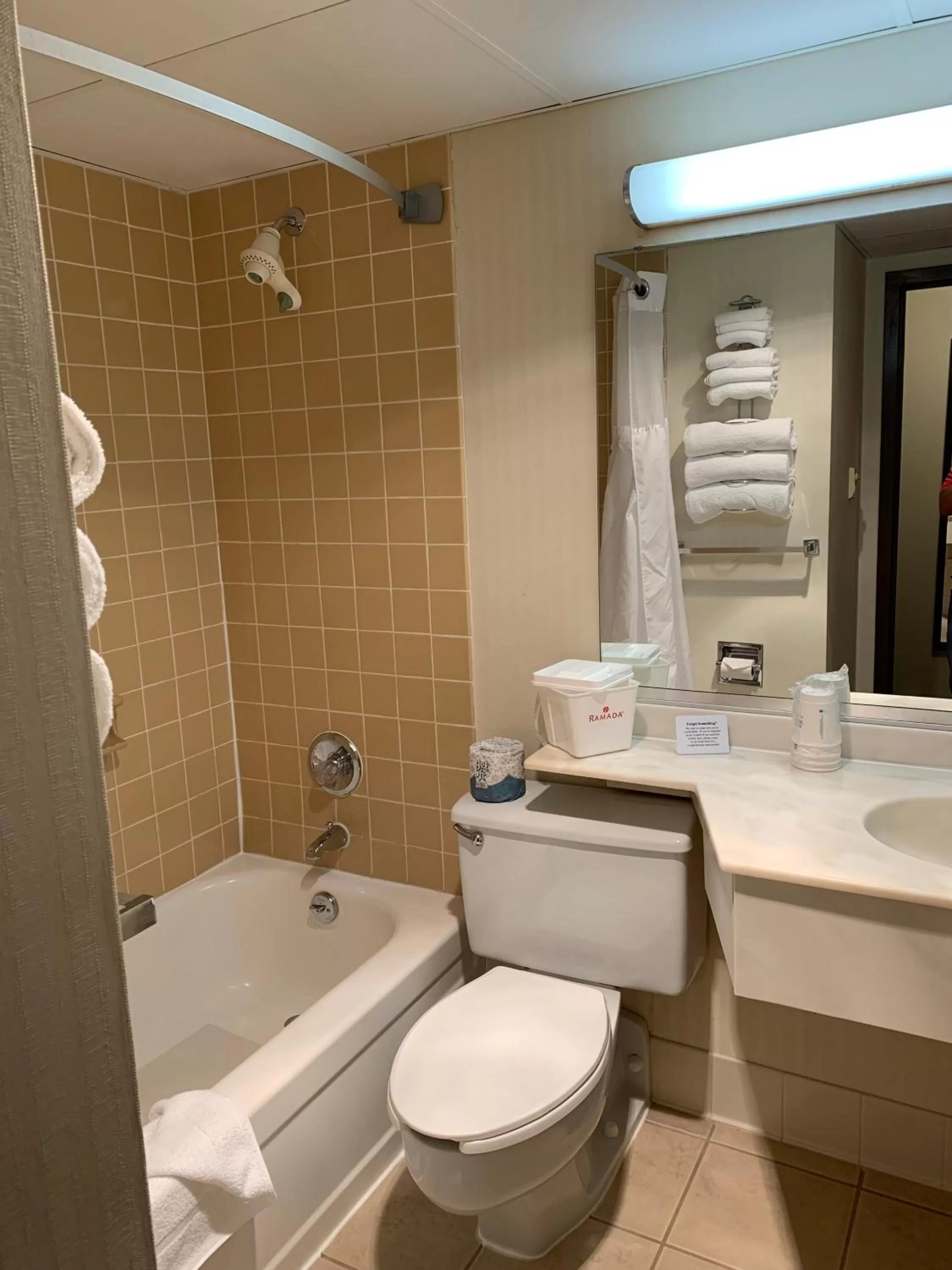 Bathroom in Ramada by Wyndham Marquette