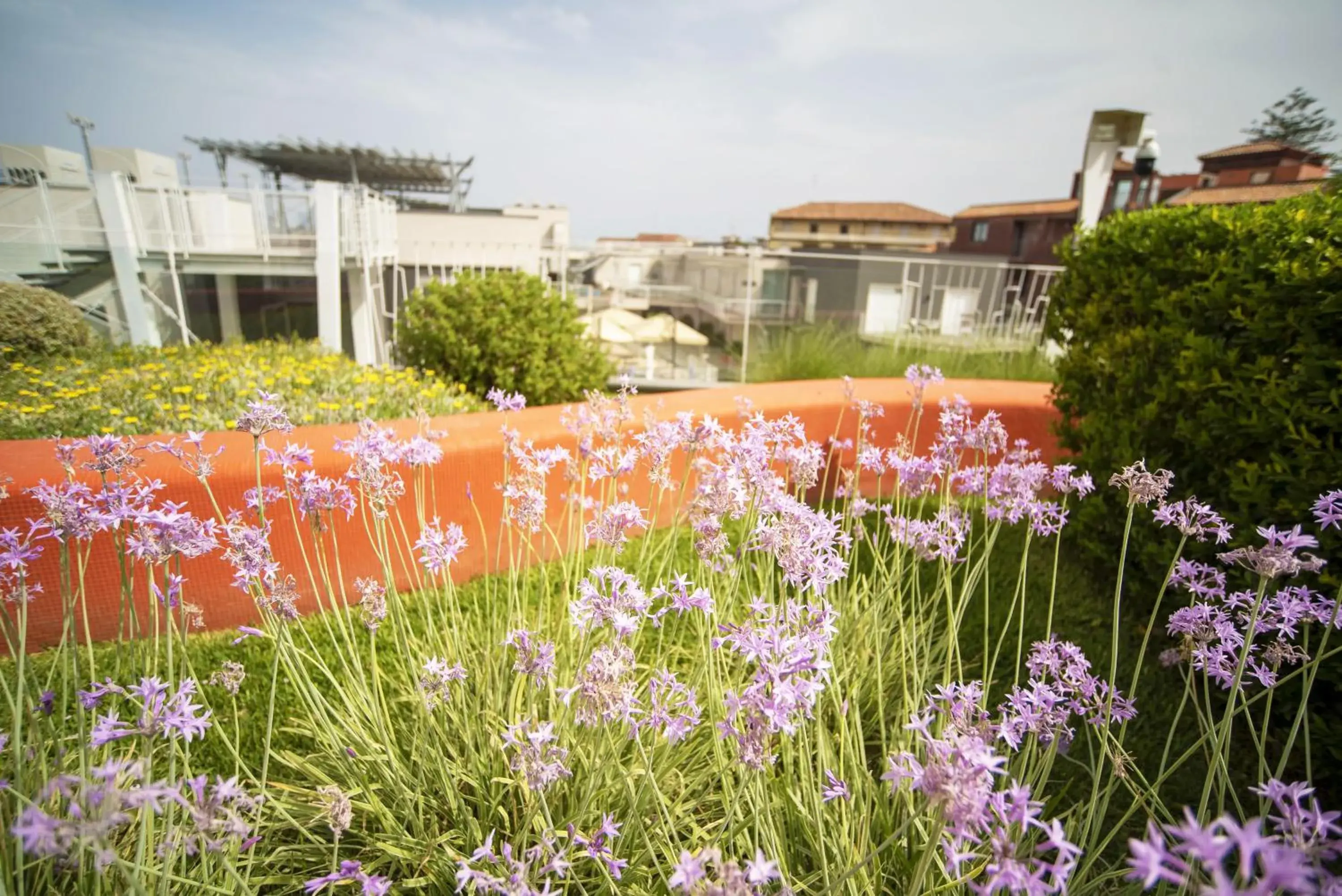 Garden in Hotel Malavoglia