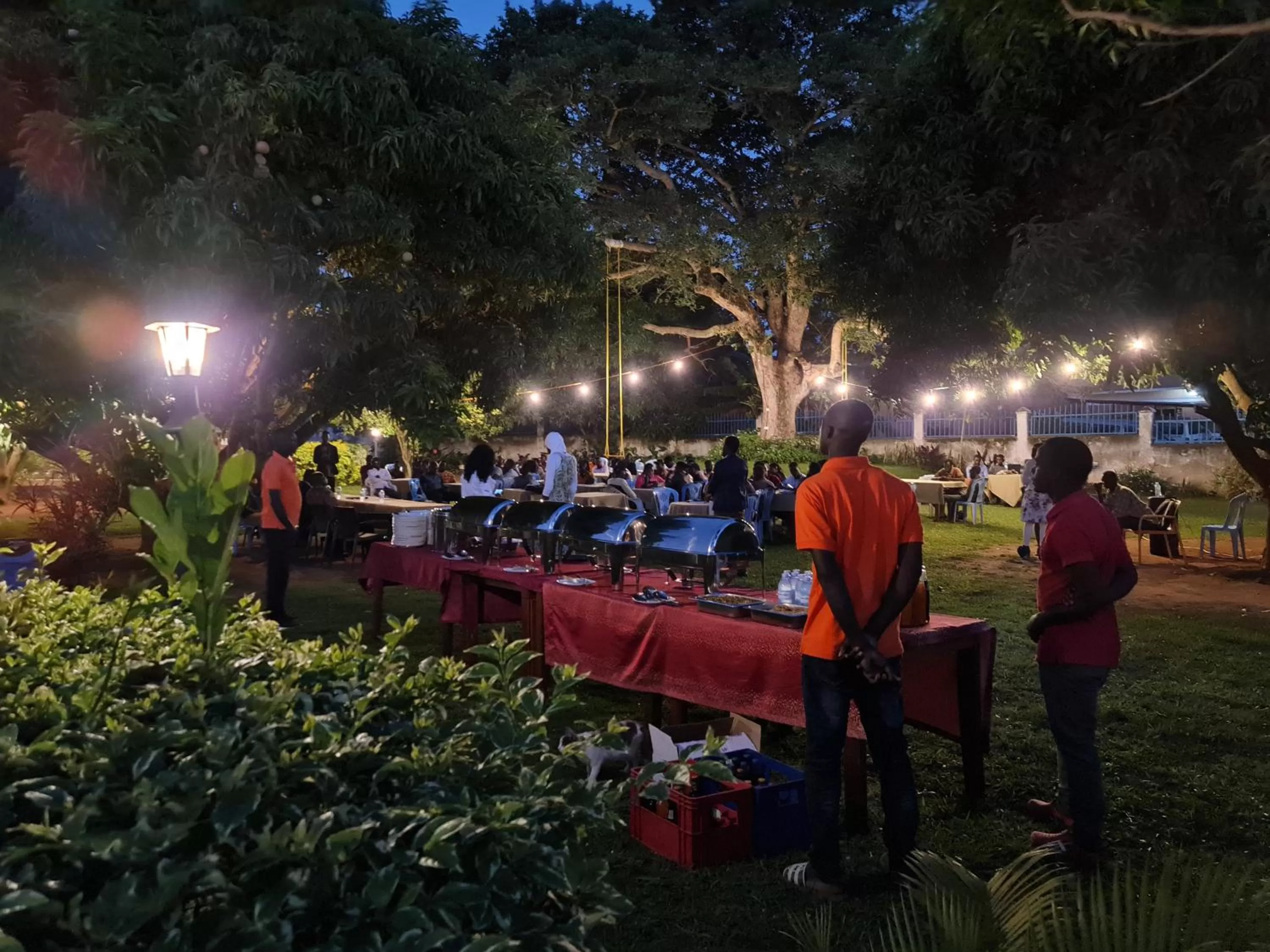 Night in Northern Pearl