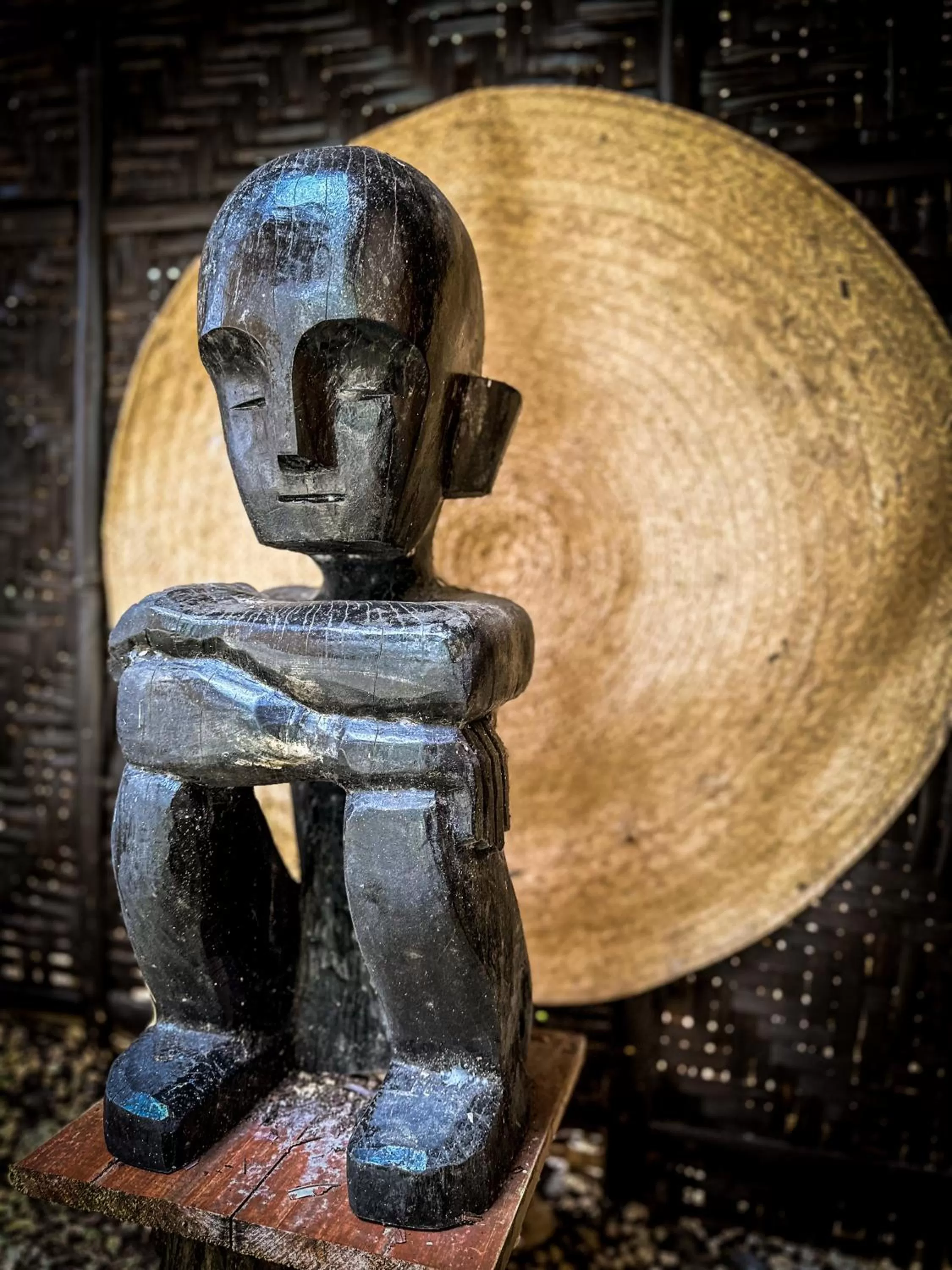 Garden in Alona Pawikan