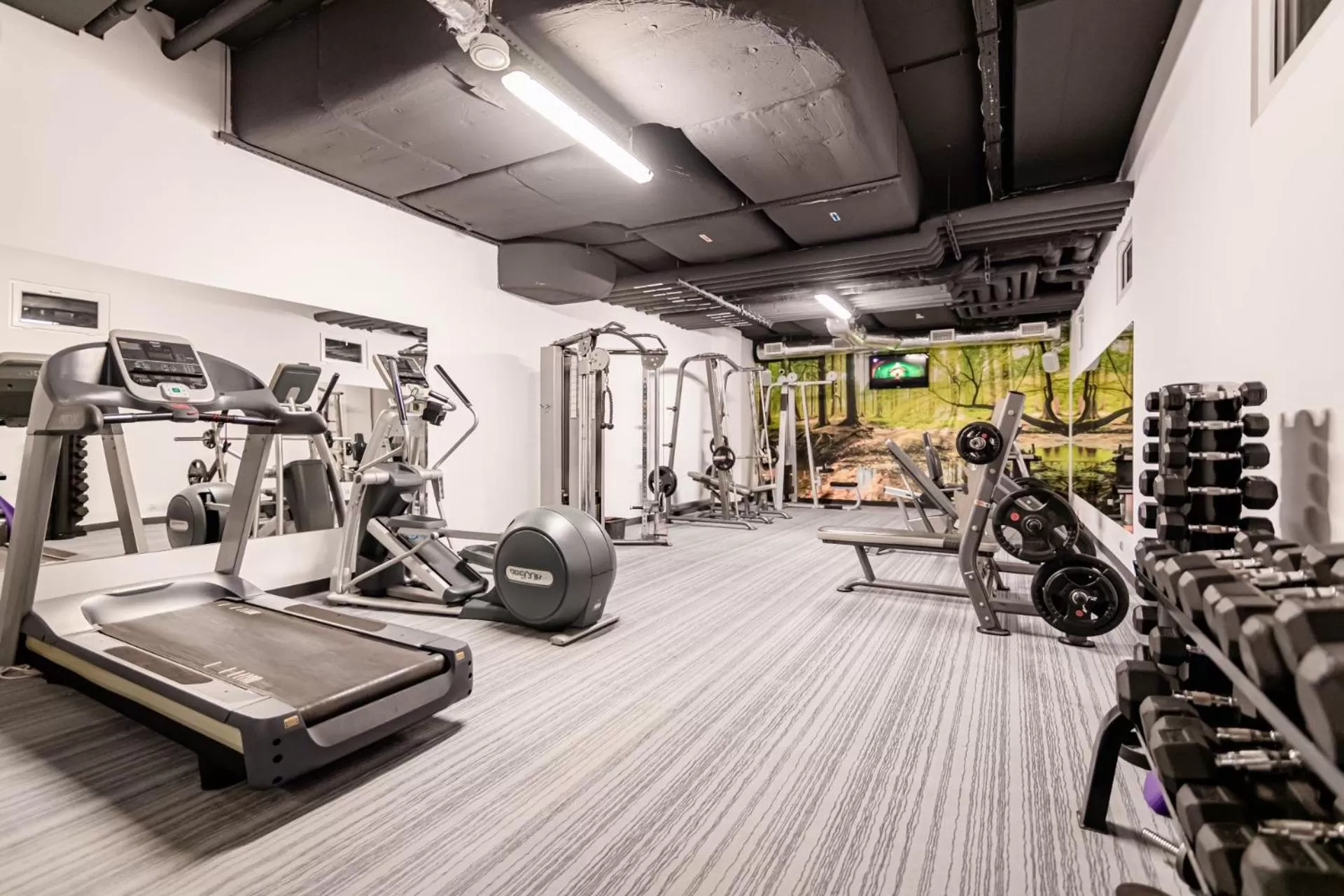 Fitness centre/facilities in Copernicus Toruń Hotel