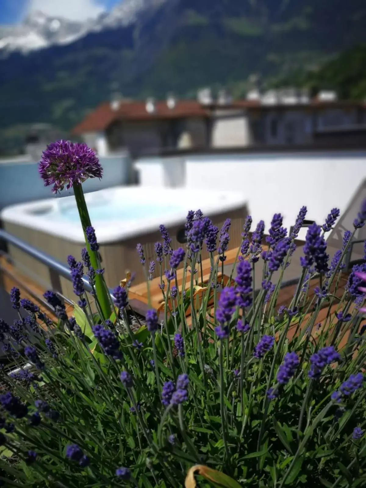 Balcony/Terrace in Guesthouse Suiteseven