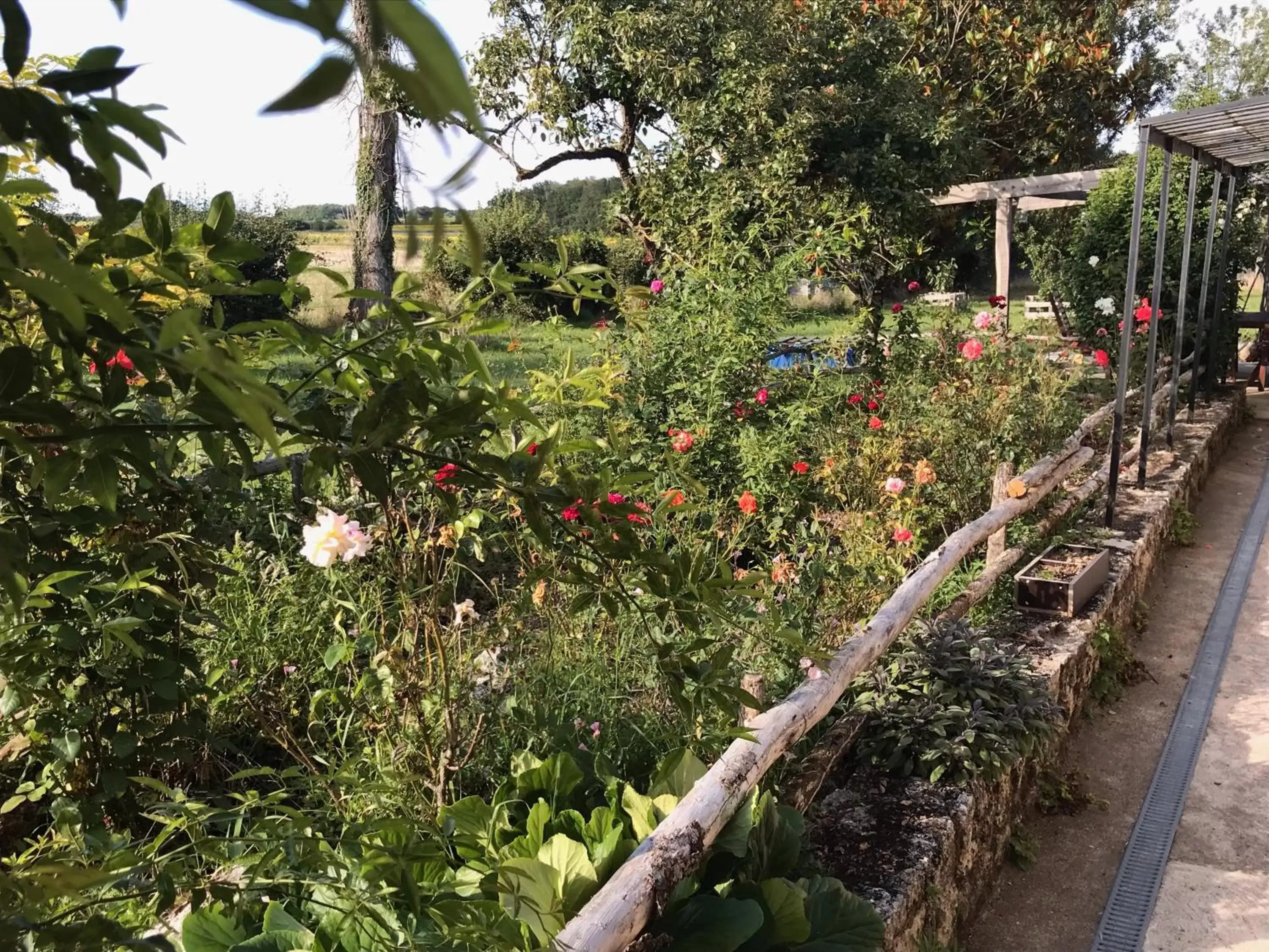 Garden in Chez Gustave & Compagnie