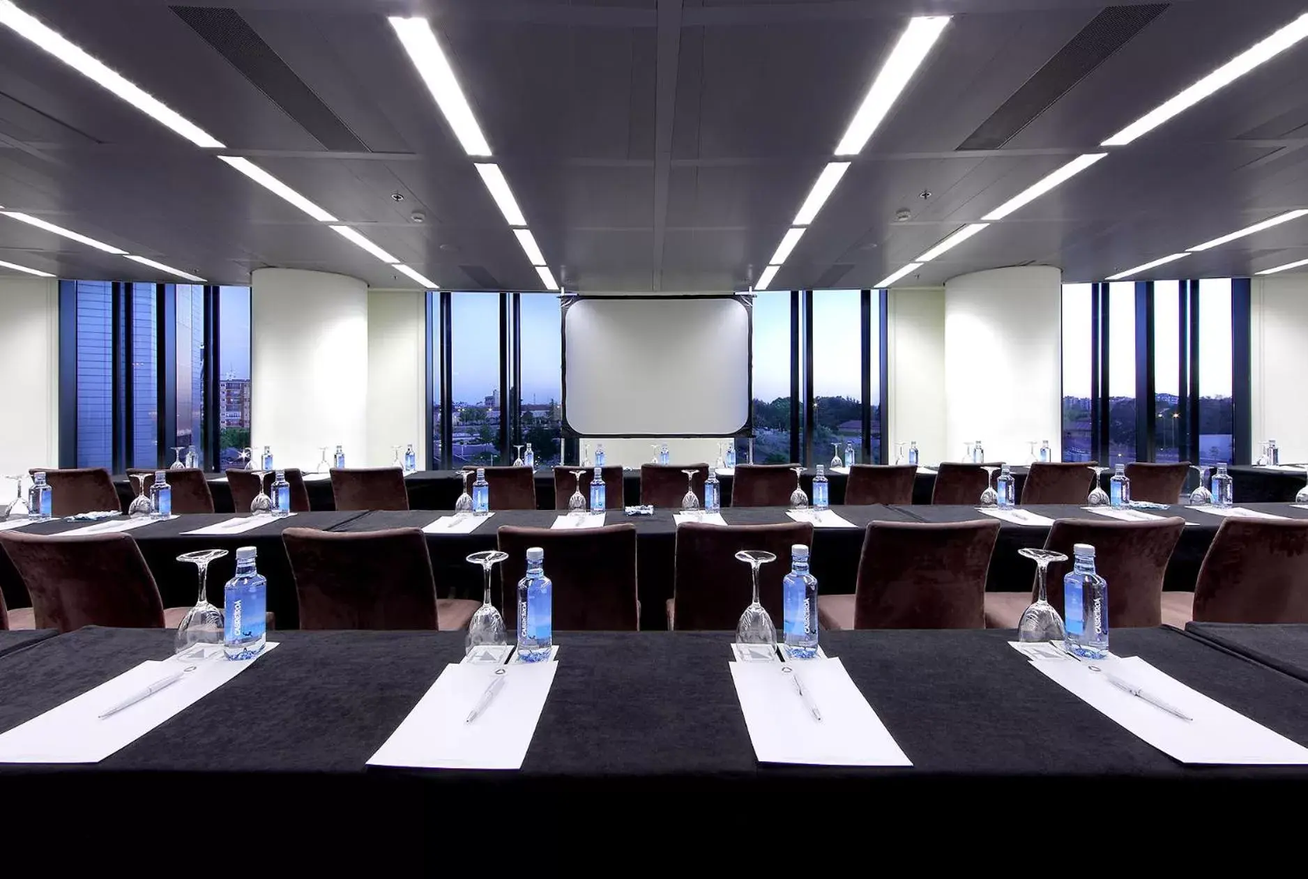 Business facilities in Eurostars Madrid Tower
