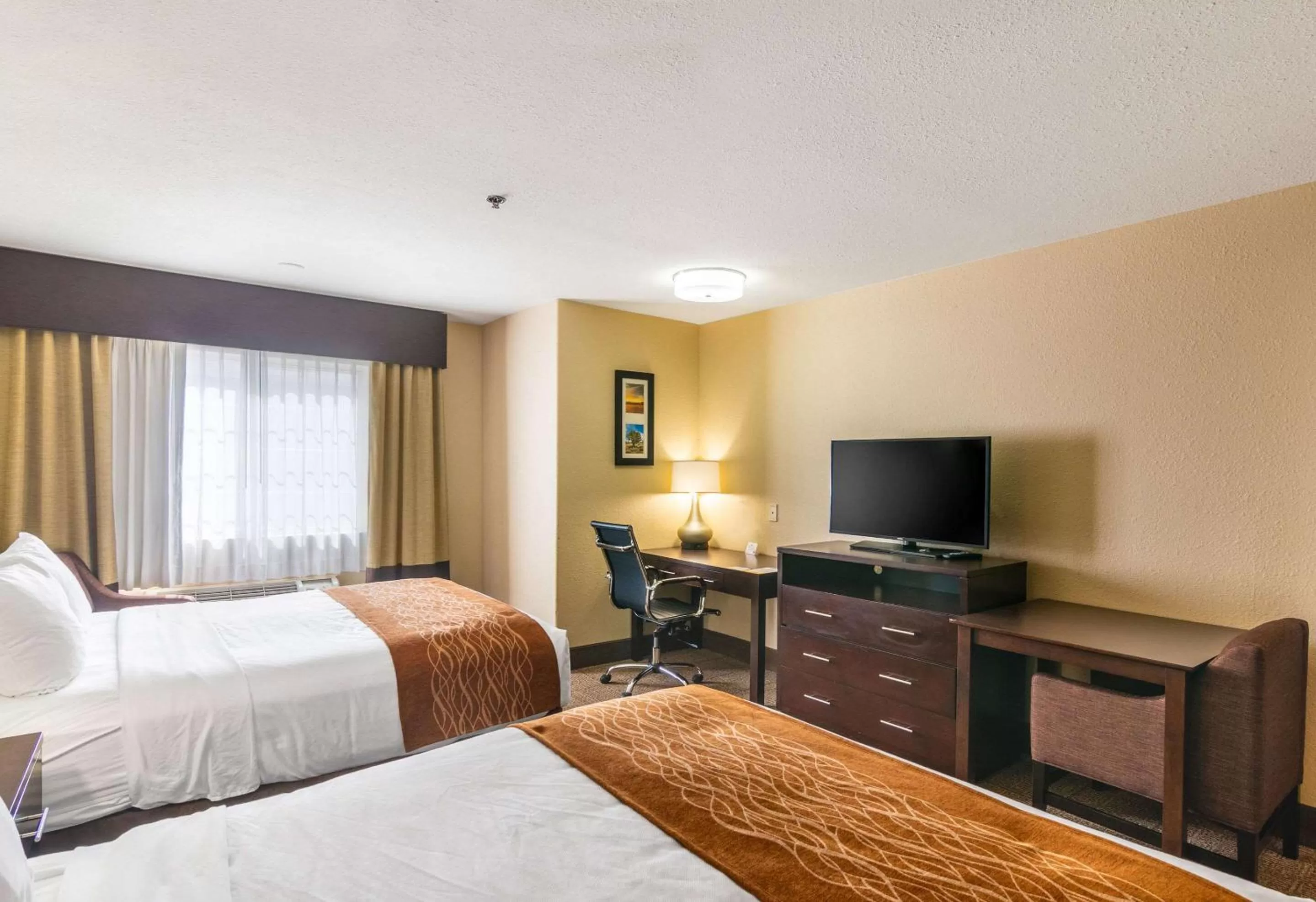 Photo of the whole room, Bed in Comfort Inn & Suites