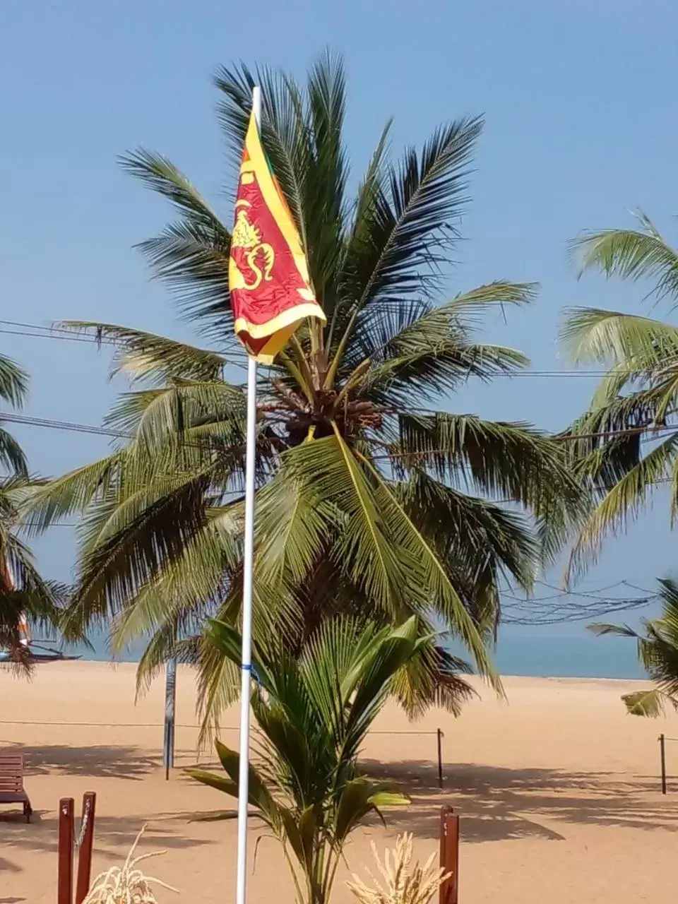 Beach in Goldi Sands Hotel