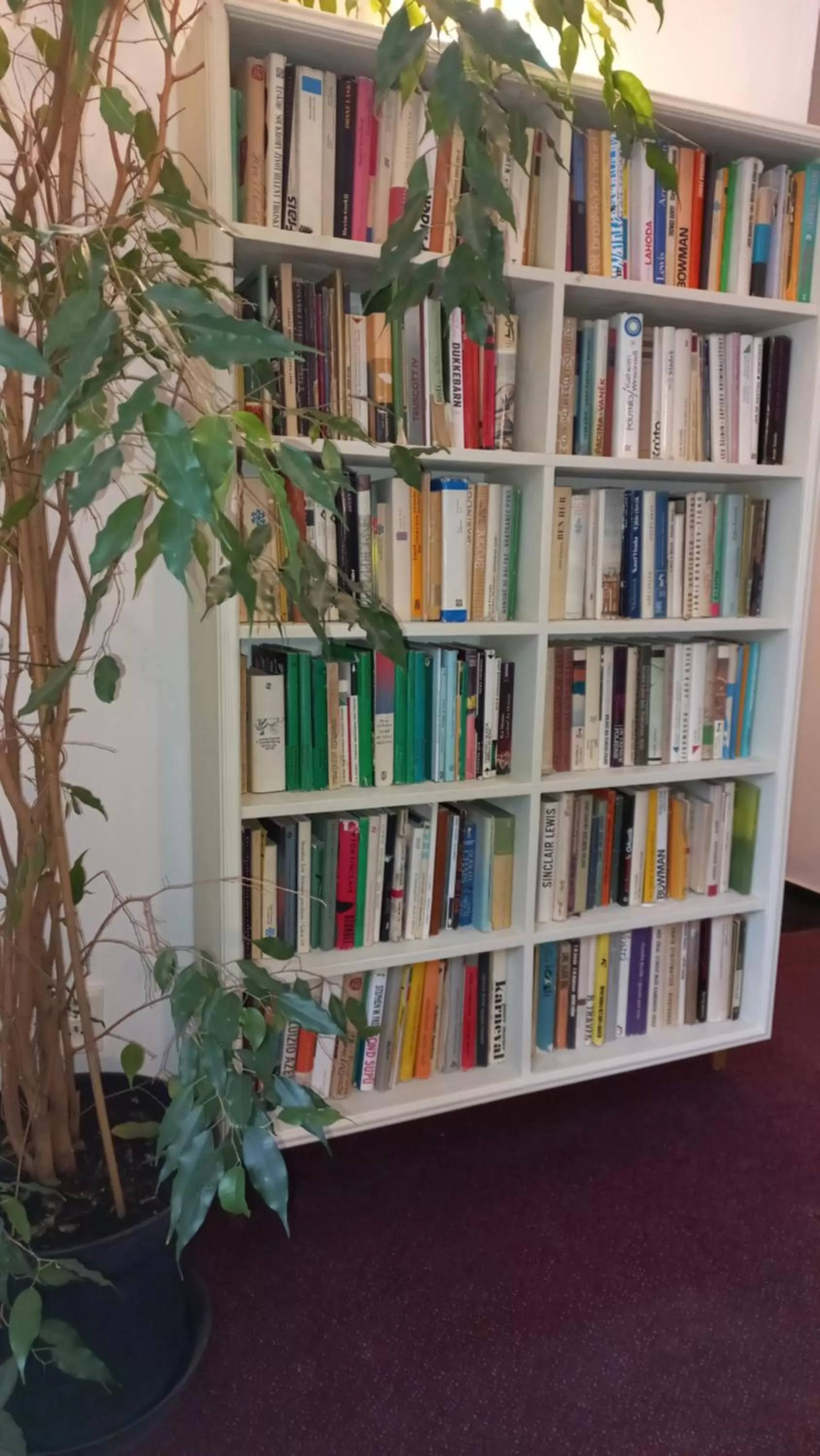 Property building in Hotel Bílá Paní