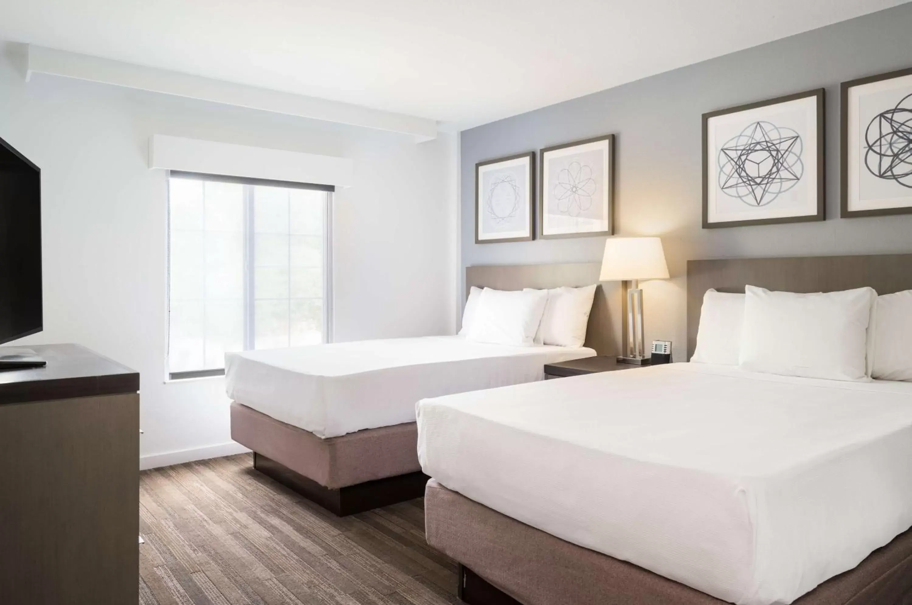 One-Bedroom Suite with Two Double Beds and Sofa Bed in Hyatt House White Plains