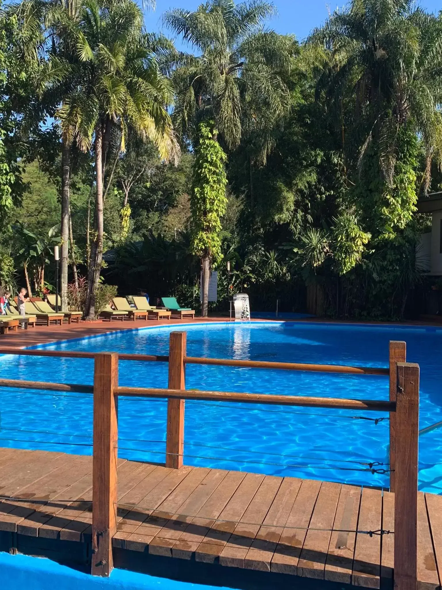 Garden, Swimming Pool in Hotel Saint George