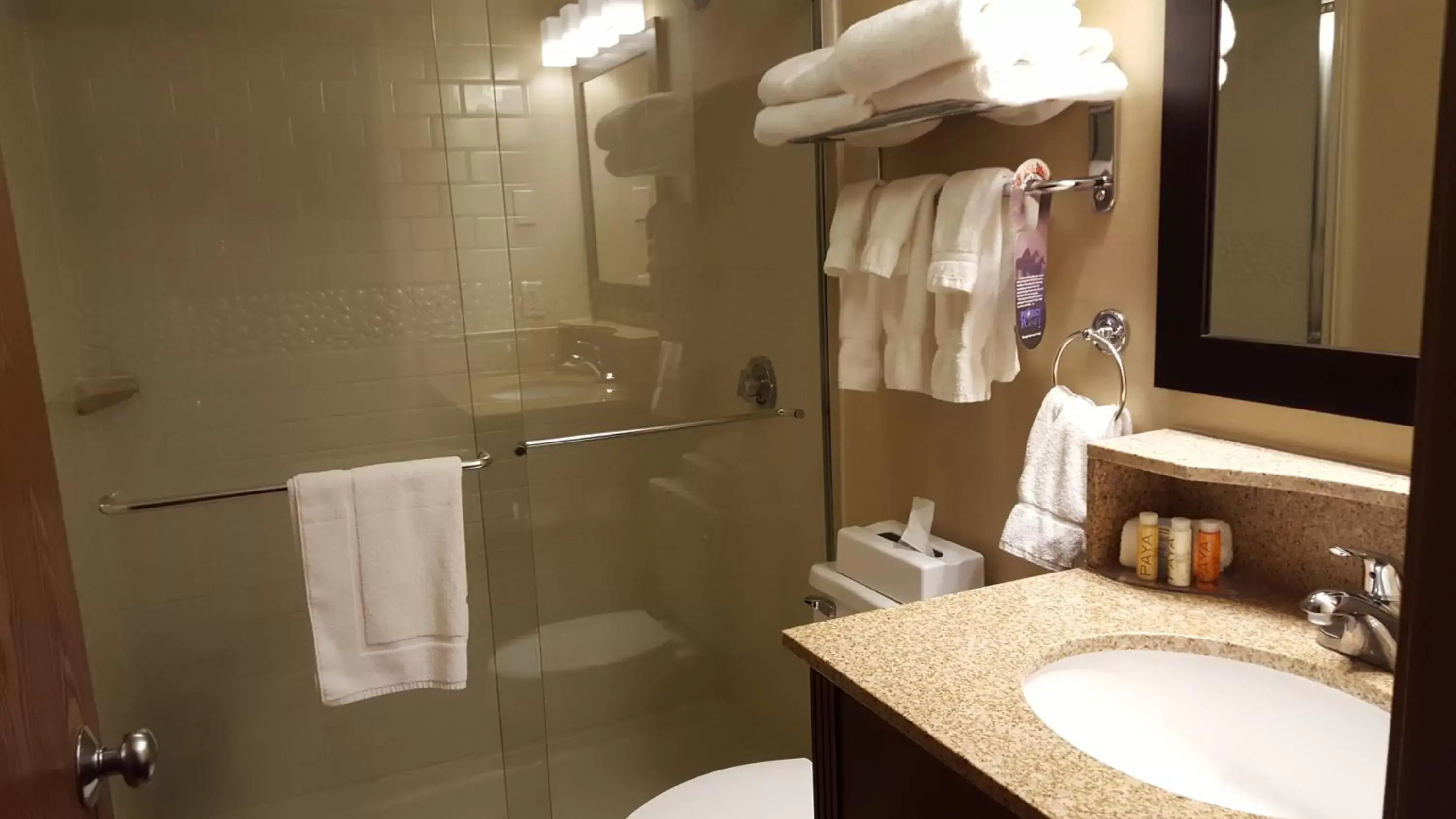 Shower, Bathroom in Best Western Plus The Inn at Sharon/Foxboro