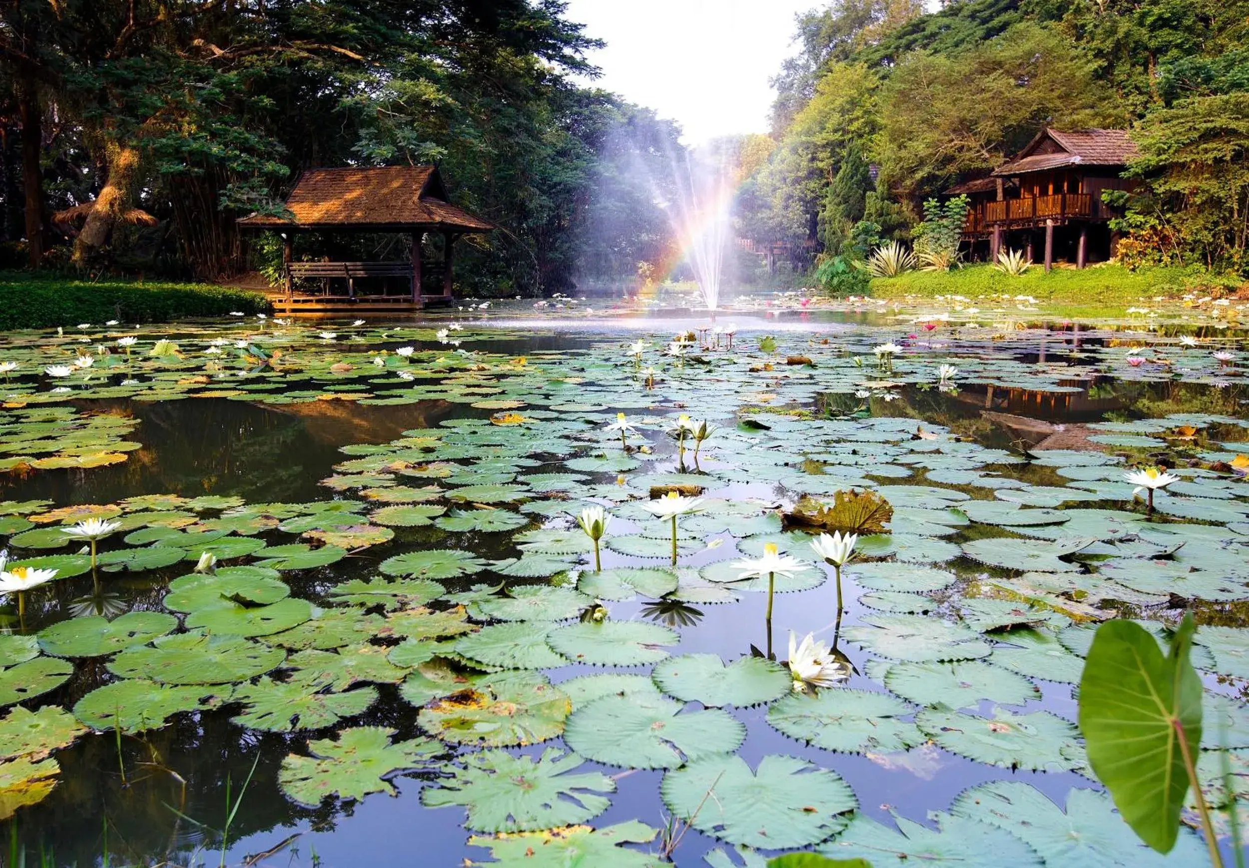 Lake view in Lampang River Lodge (SHA Certified)