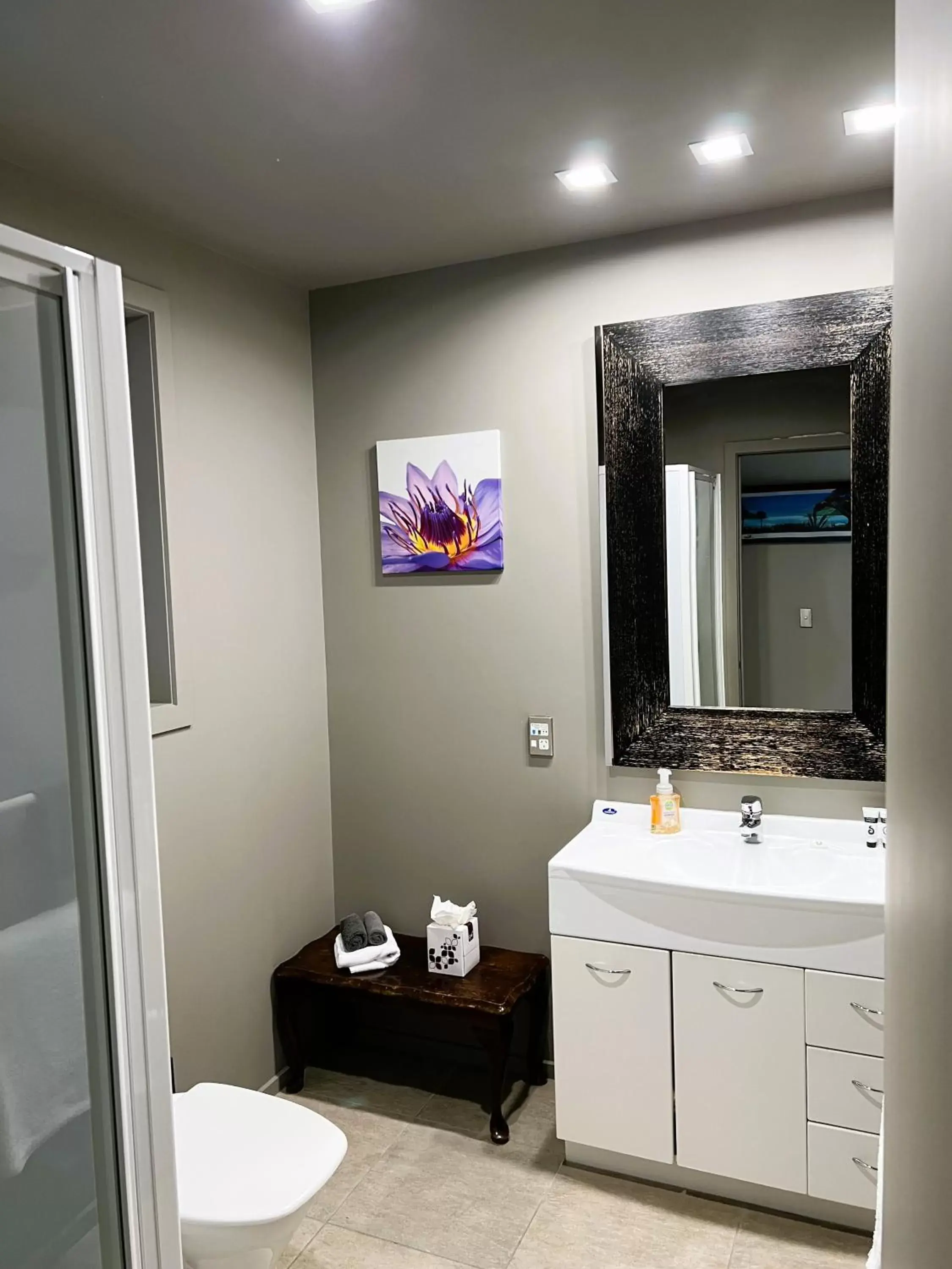 Bathroom in Fiordland Lakeview Motel and Apartments