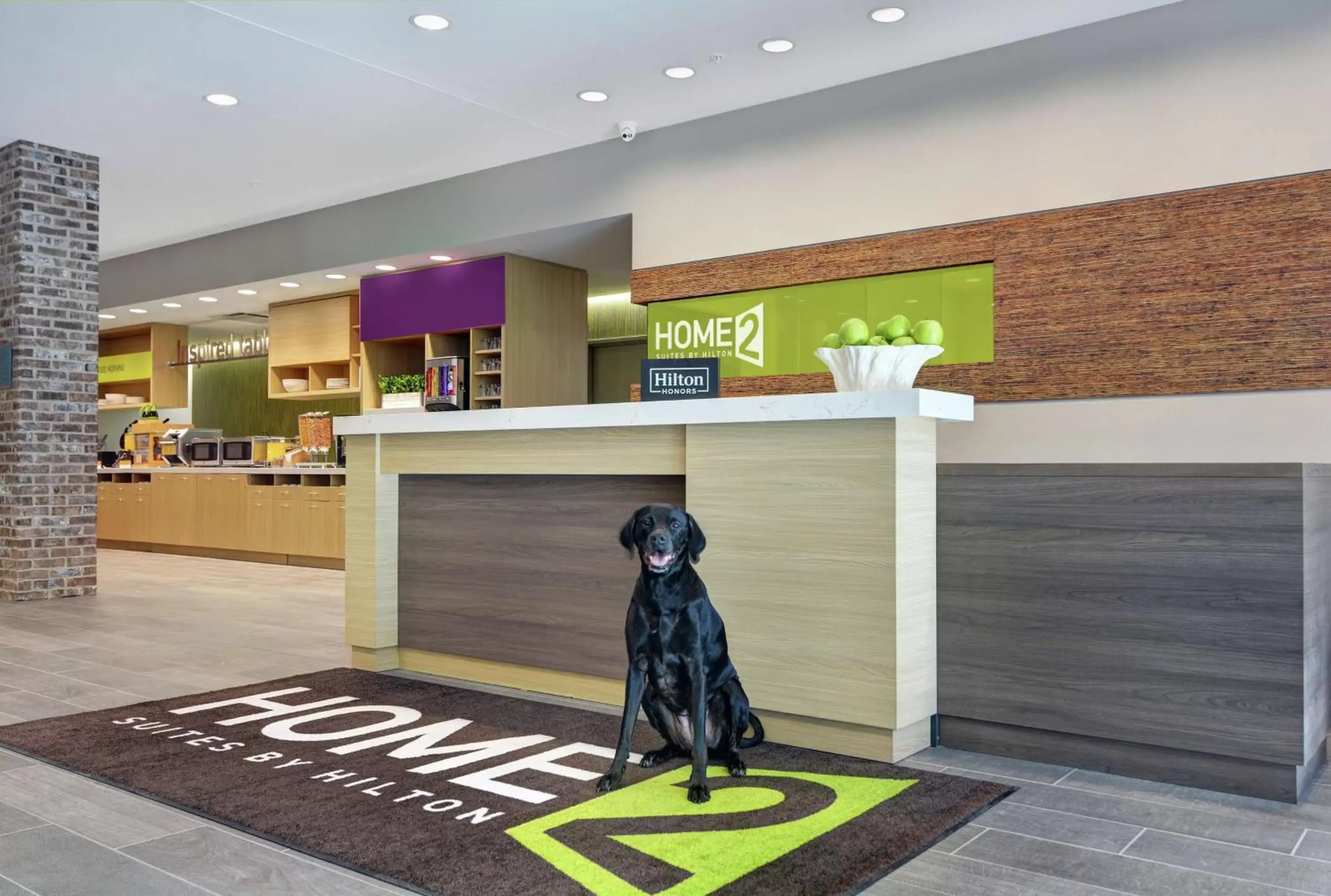 Lobby or reception, Pets in Home2 Suites By Hilton Charleston Daniel Island, Sc