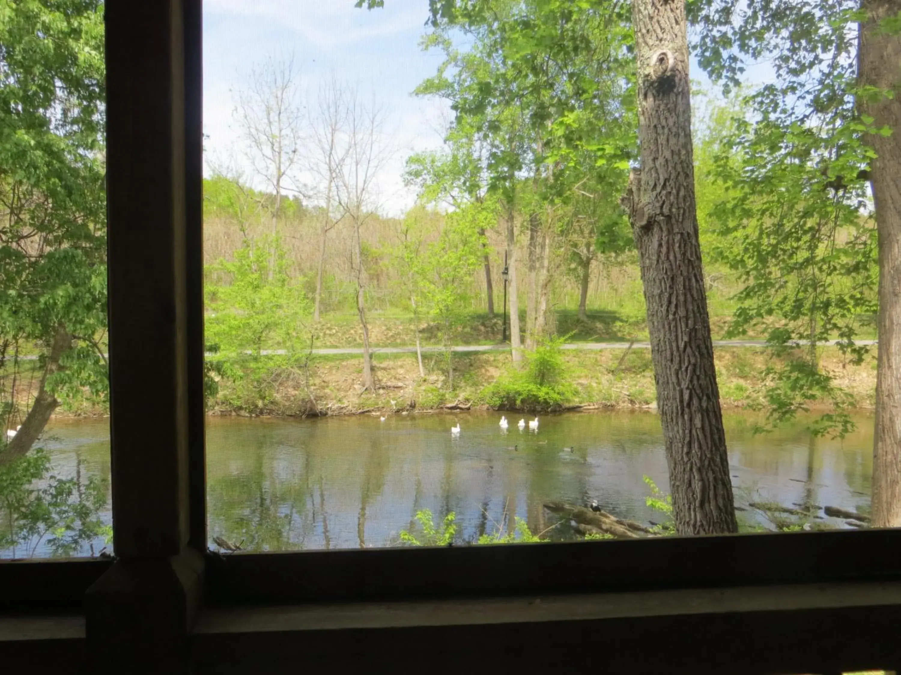 View (from property/room) in River Place Inn View (from property/room) in River Place Inn