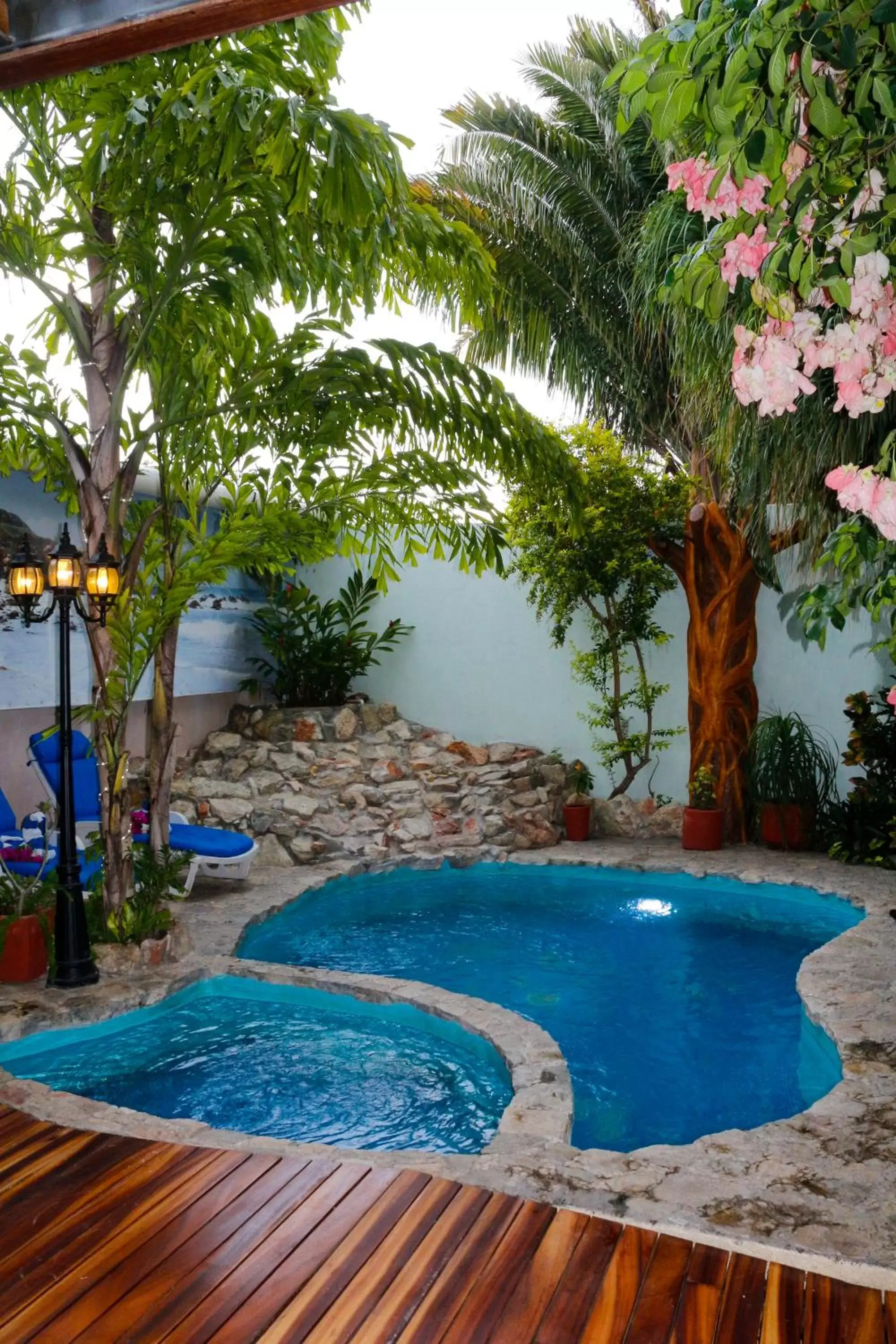 Garden, Swimming Pool in Hotel Careyes Puerto Escondido