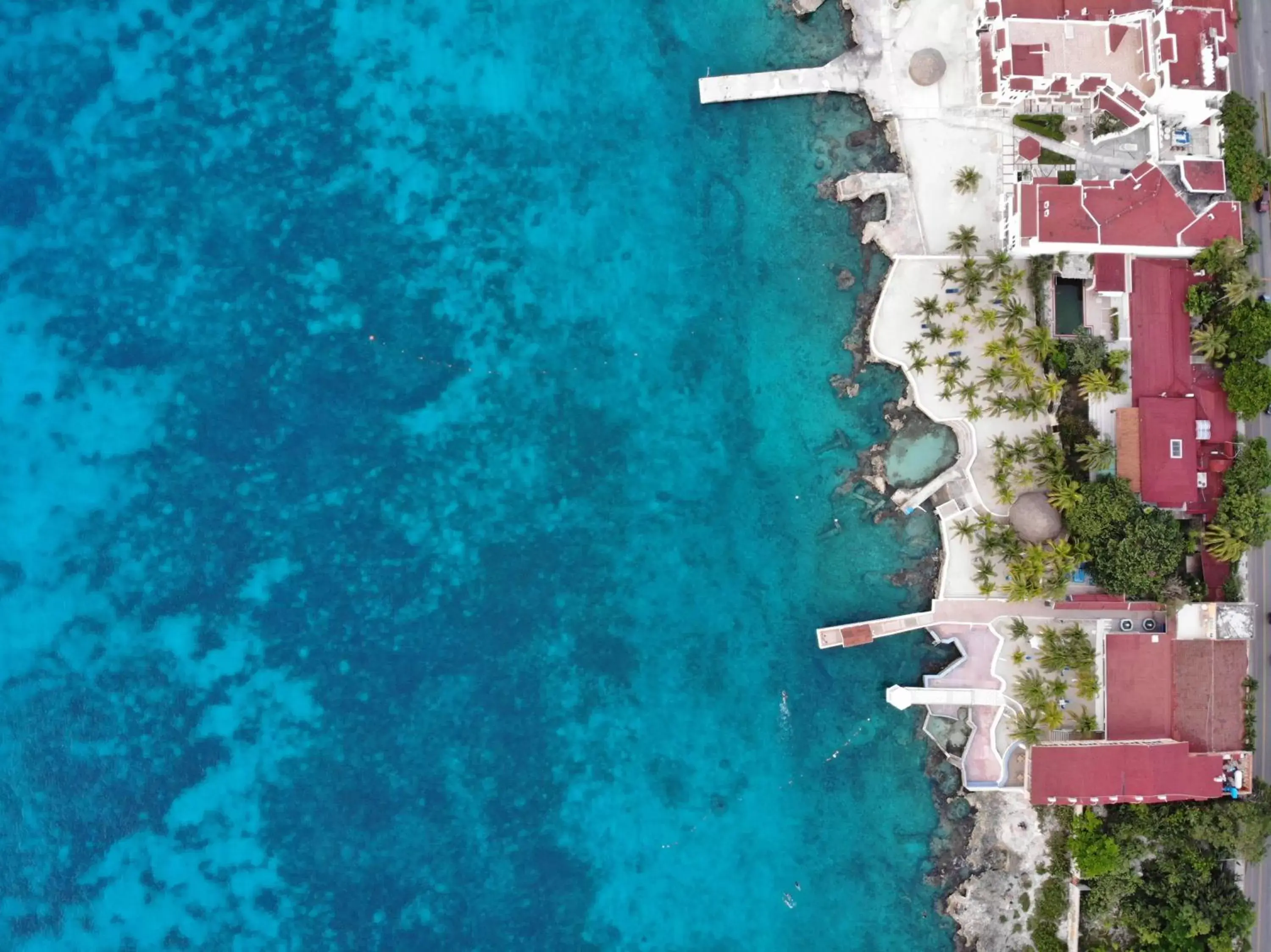 Beach, Swimming Pool in Cozumel Hotel & Resort Trademark Collection by Wyndham