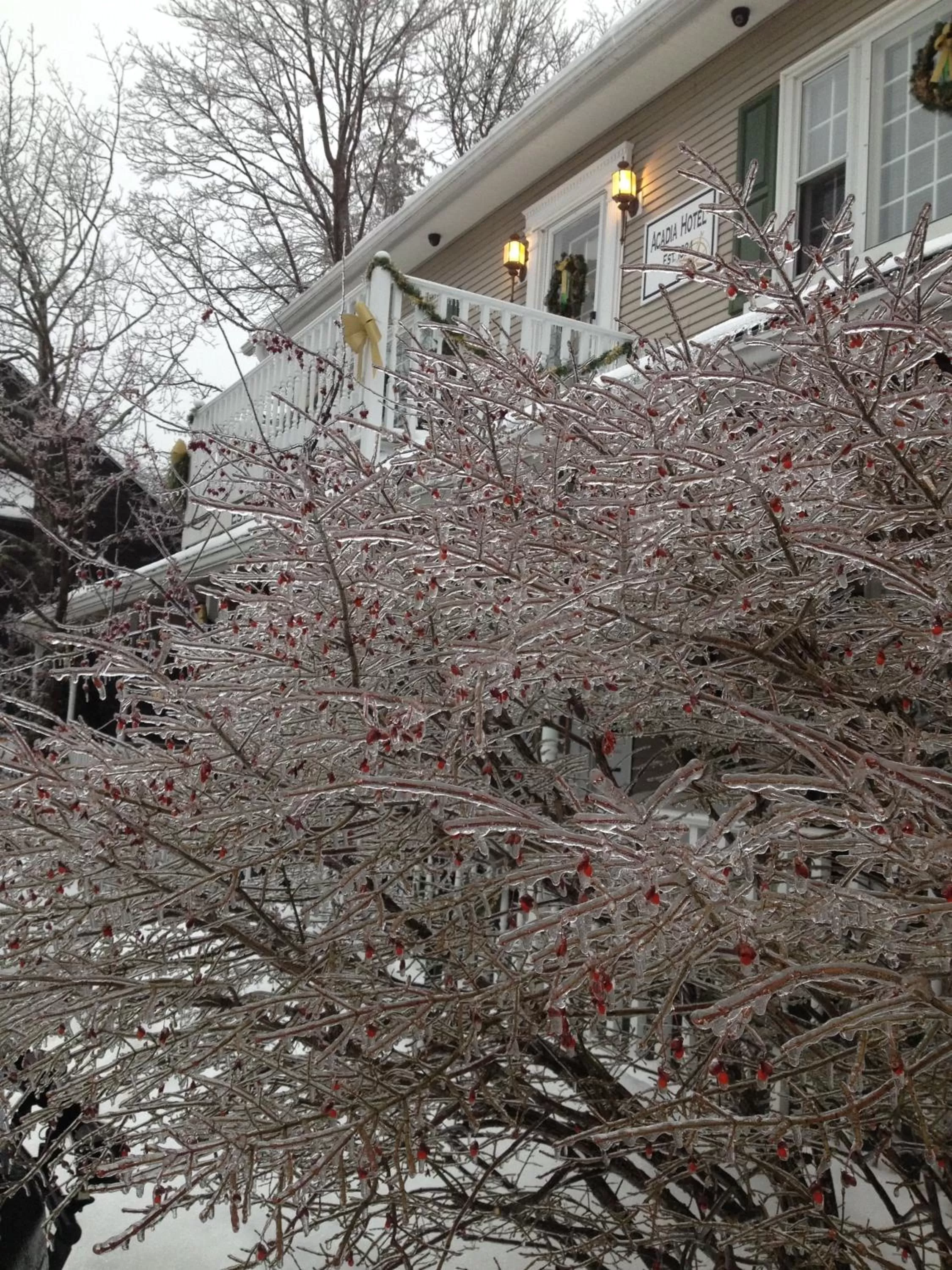 Facade/entrance in Acadia Hotel - Downtown