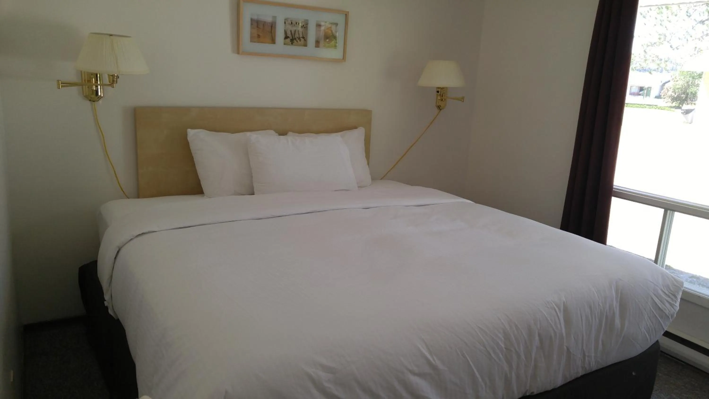 Other, Bed in Tulip Inn