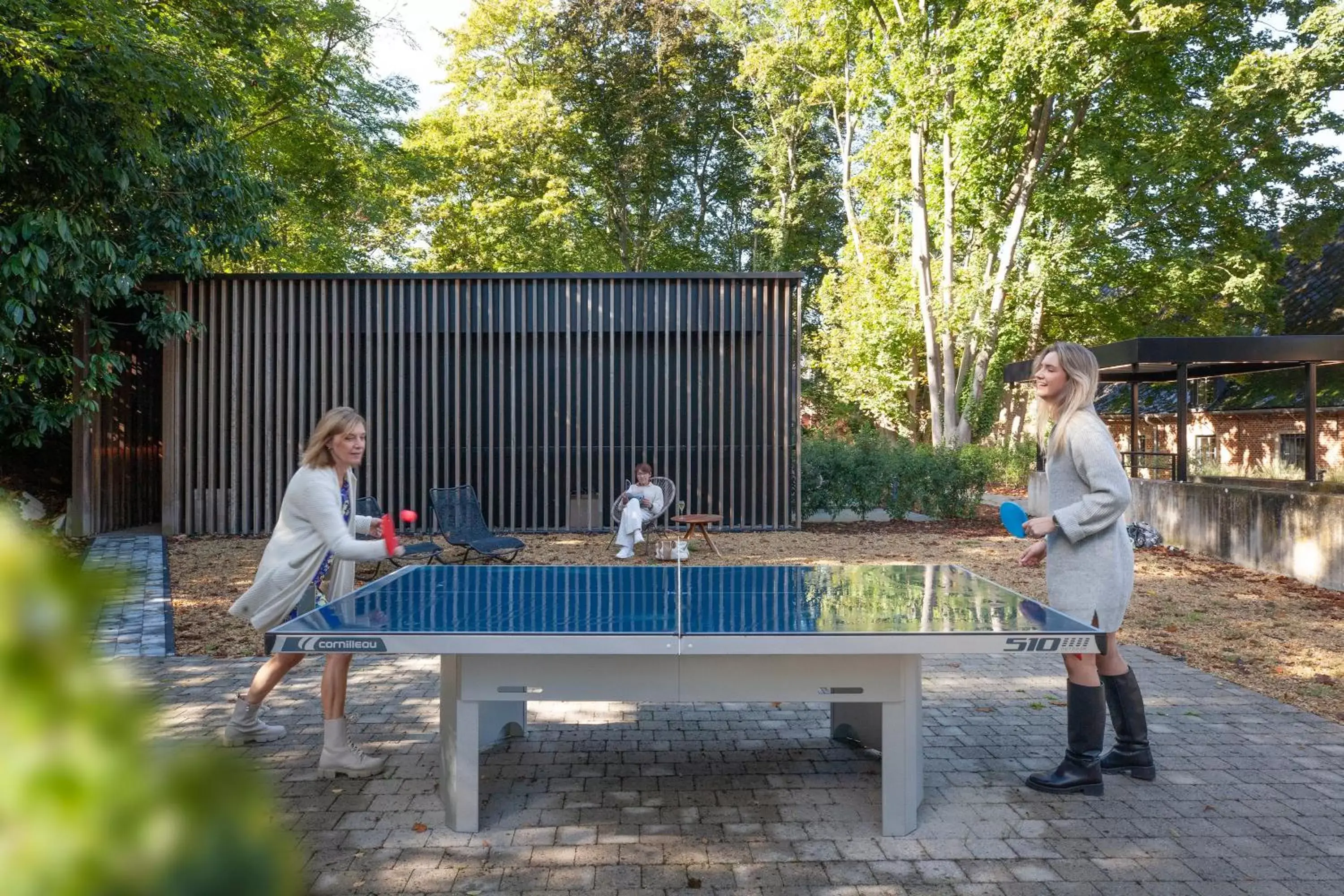 Table Tennis in Hotel The Lodge Heverlee