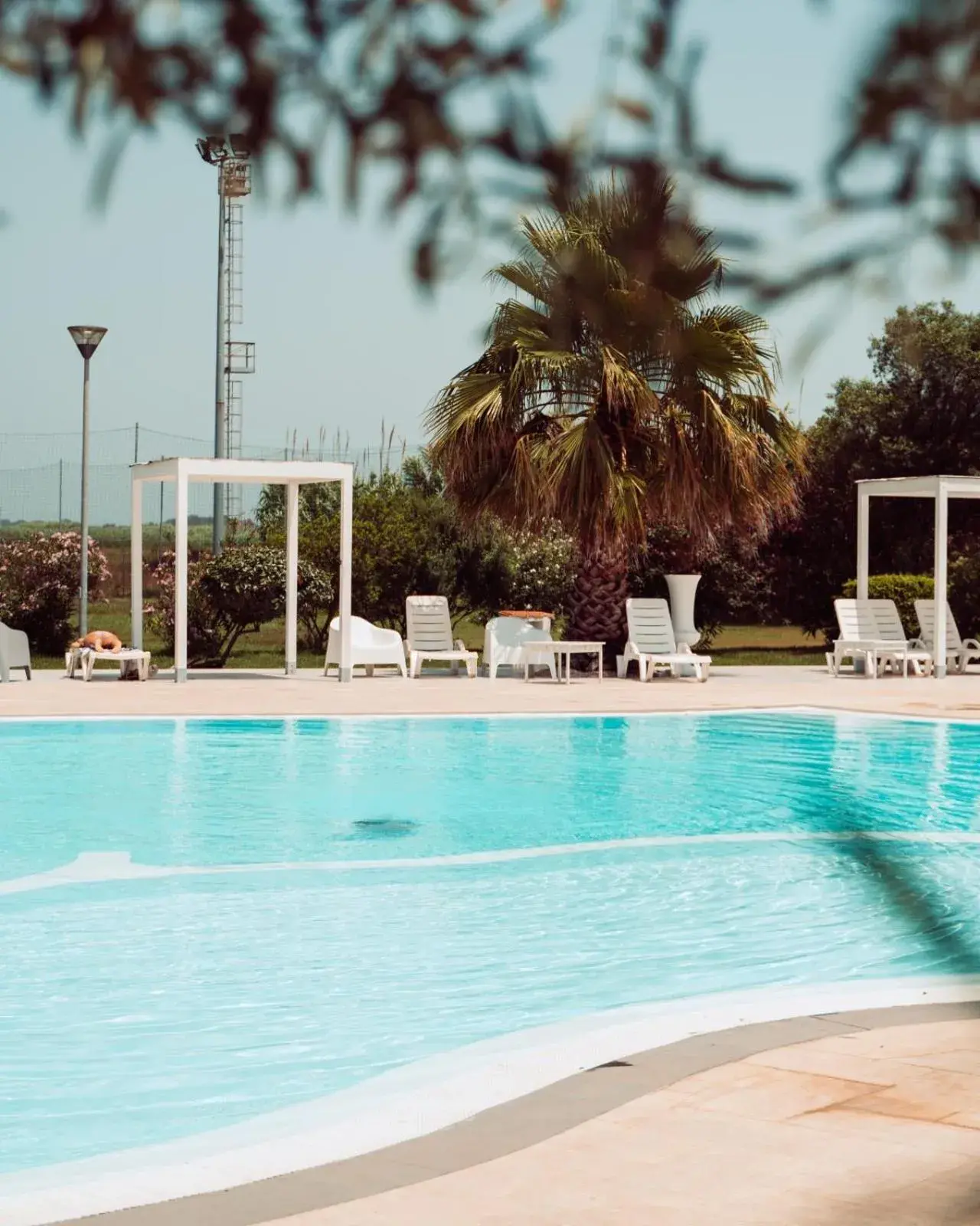 Swimming Pool in Hotel Gran Torre