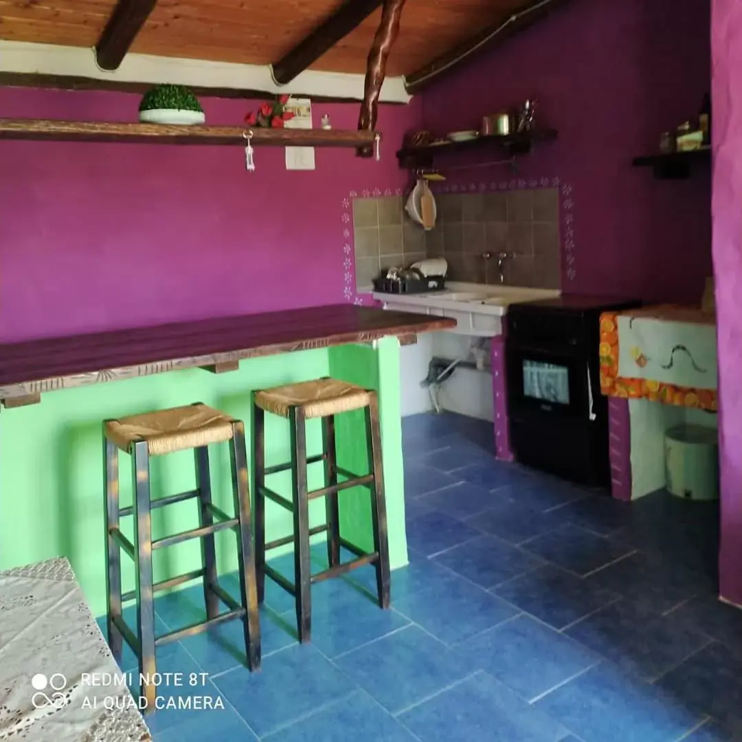 Kitchen or kitchenette in B&B Il Nuraghe