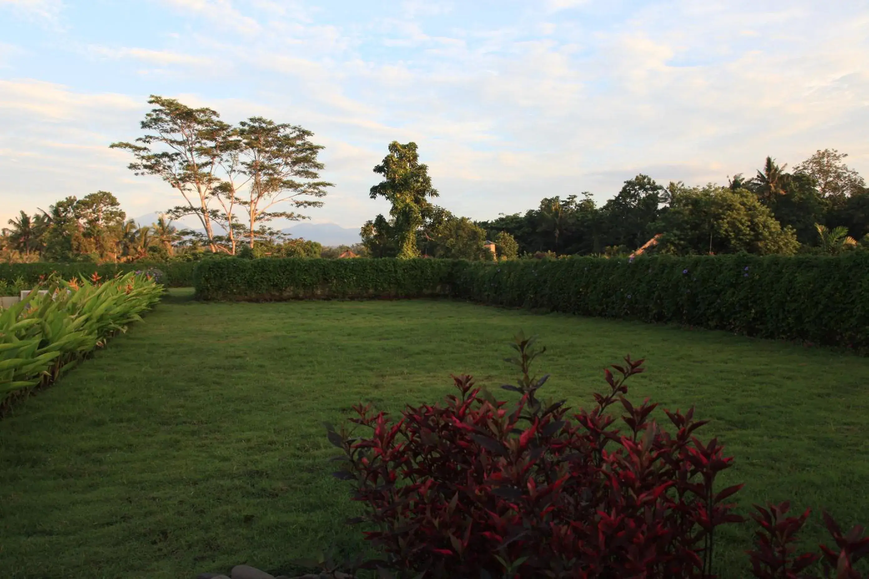 Garden in Ubud Wana Resort