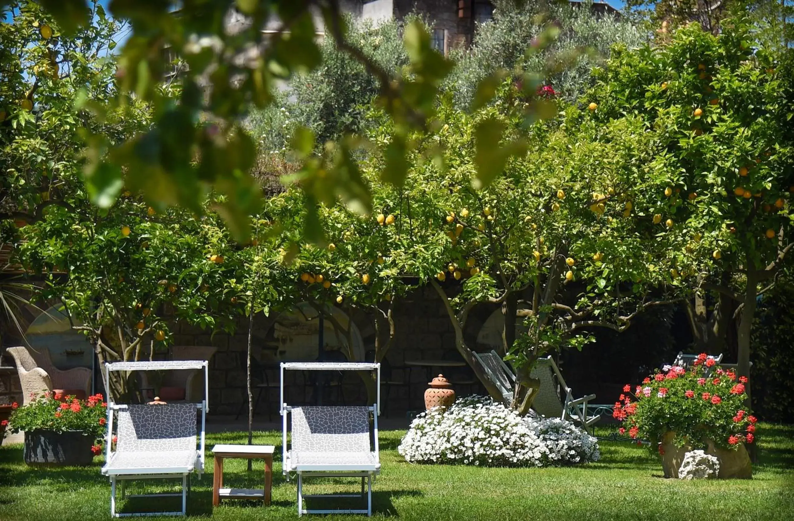 , Garden in Hotel Antiche Mura