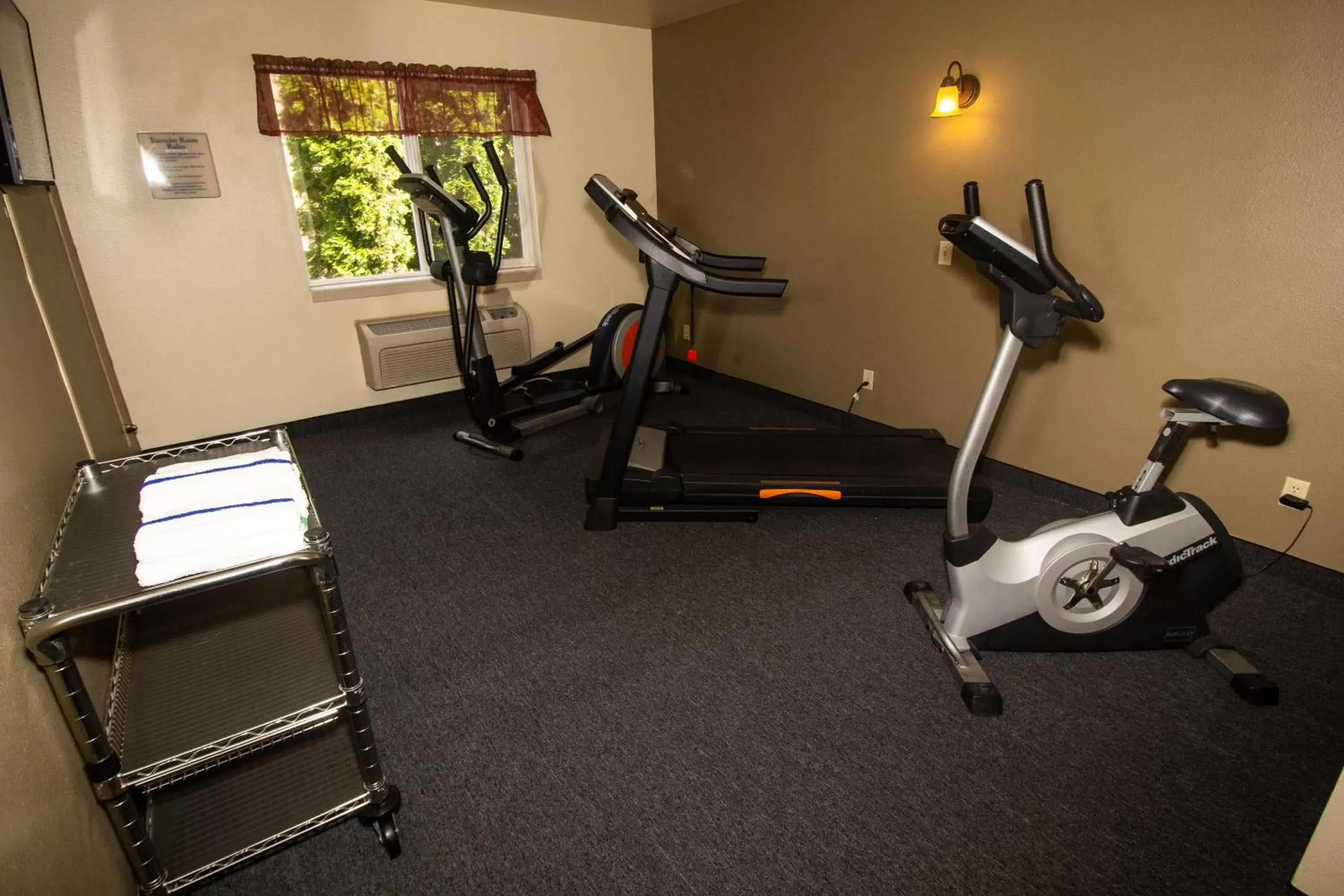 Fitness centre/facilities, Fitness Center/Facilities in FairBridge Inn & Suites Kellogg