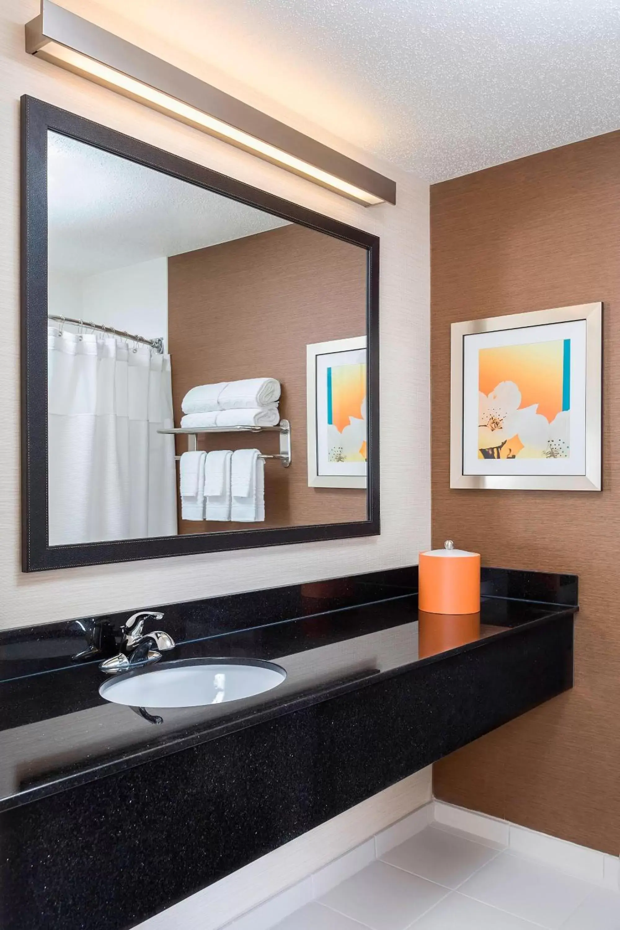 Bathroom in Fairfield Inn & Suites Grand Rapids