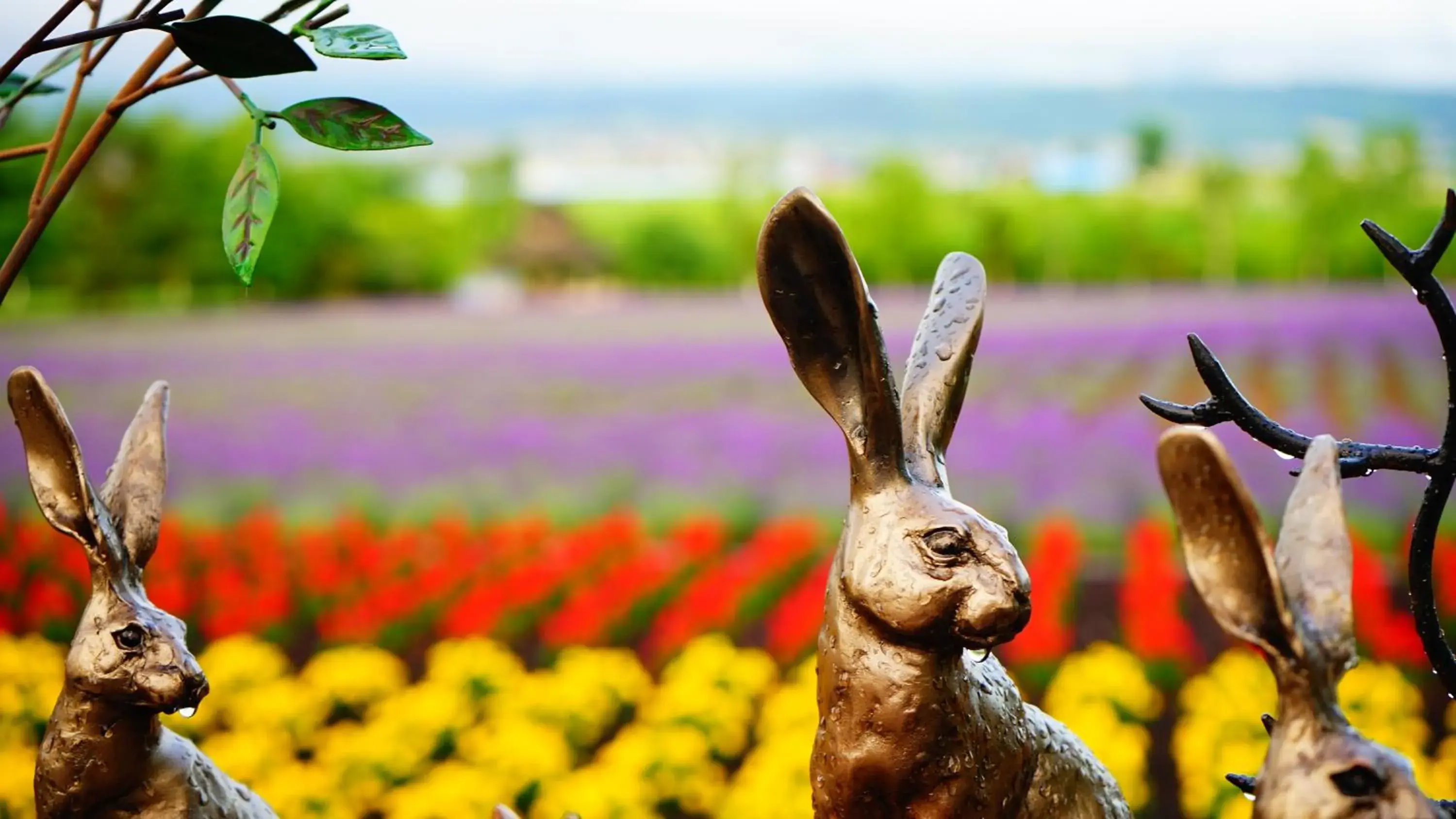 Off site, Other Animals in Furano Natulux Hotel