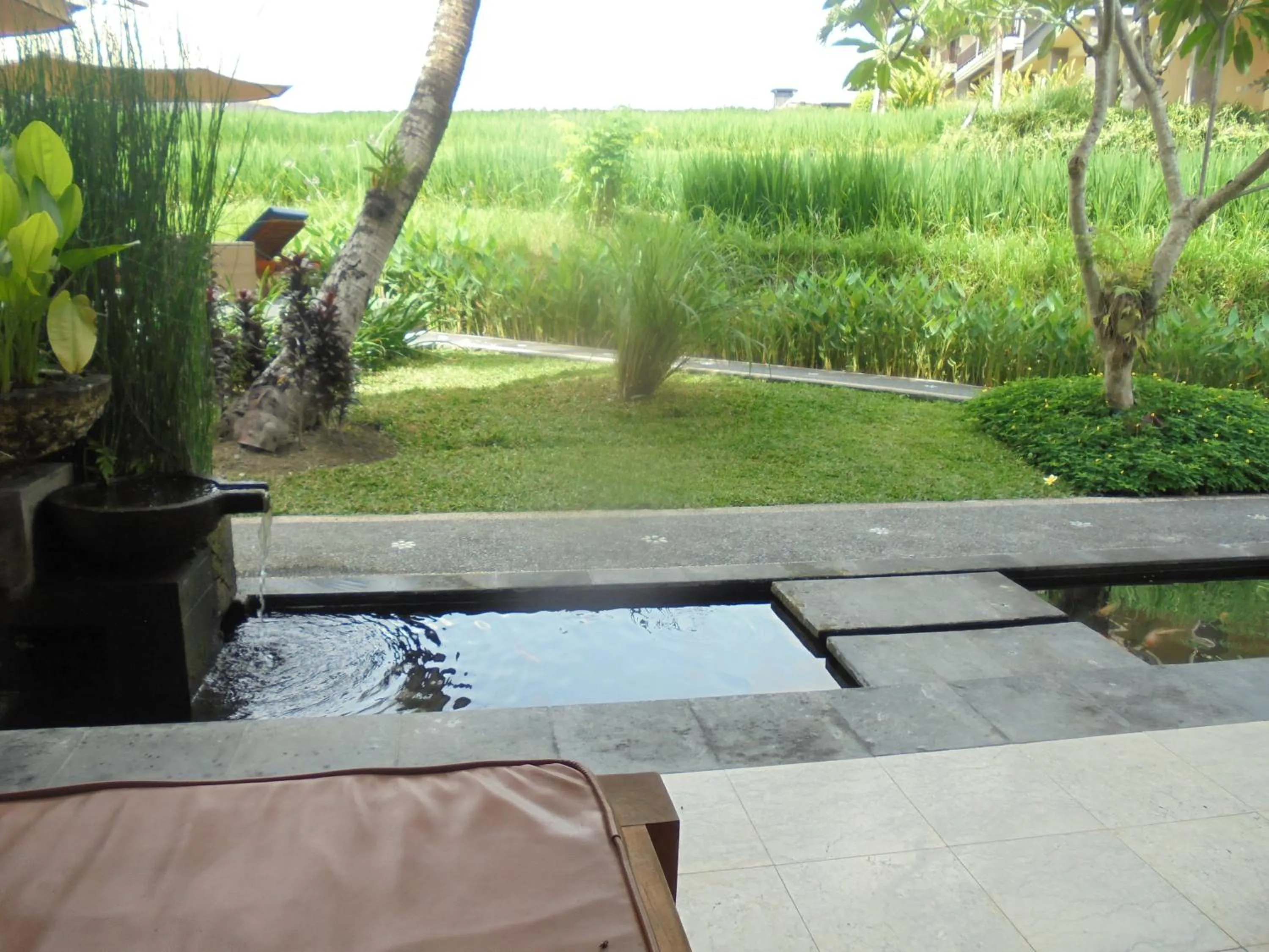 Garden view in Biyukukung Suite & Spa