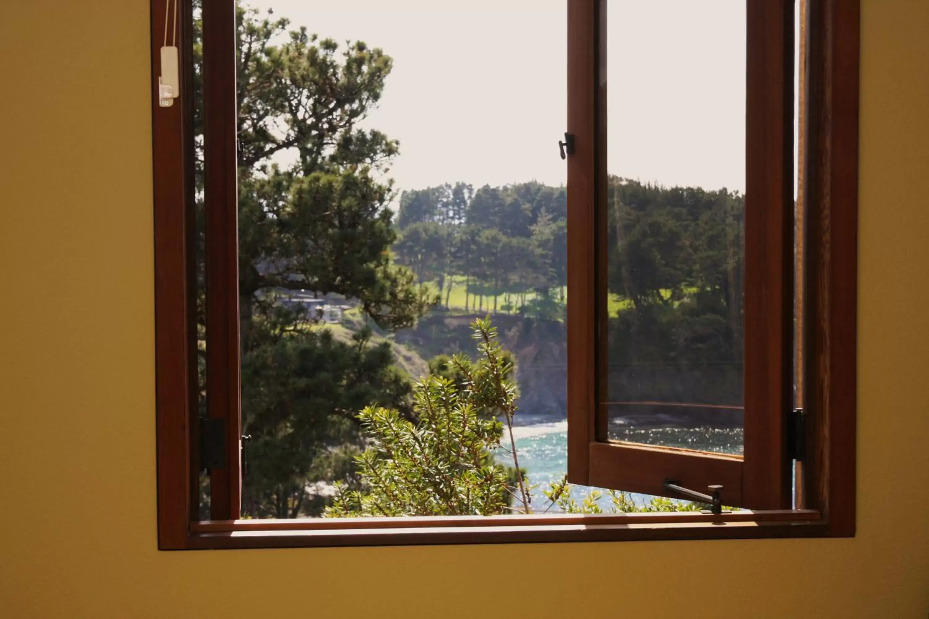 View (from property/room) in Brewery Gulch Inn