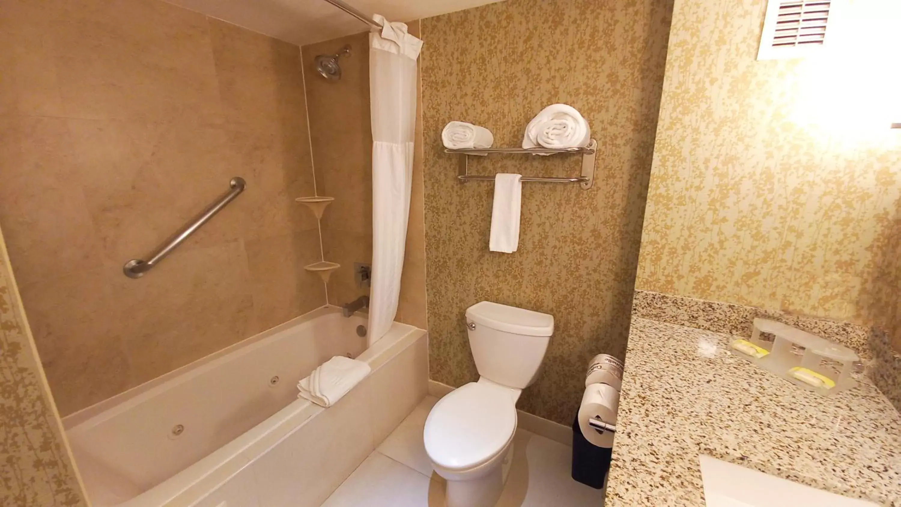 Bathroom in Holiday Inn Express & Suites Cuernavaca, an IHG Hotel