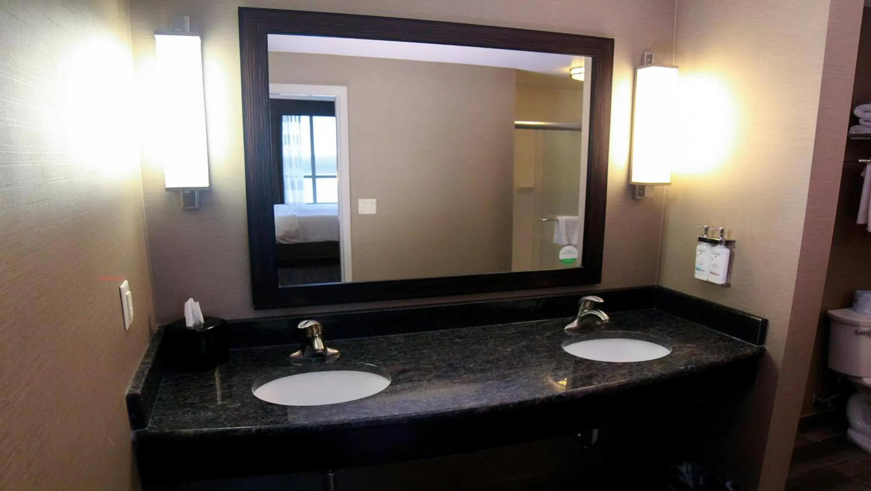 Bathroom in Holiday Inn Owensboro Riverfront, an IHG Hotel