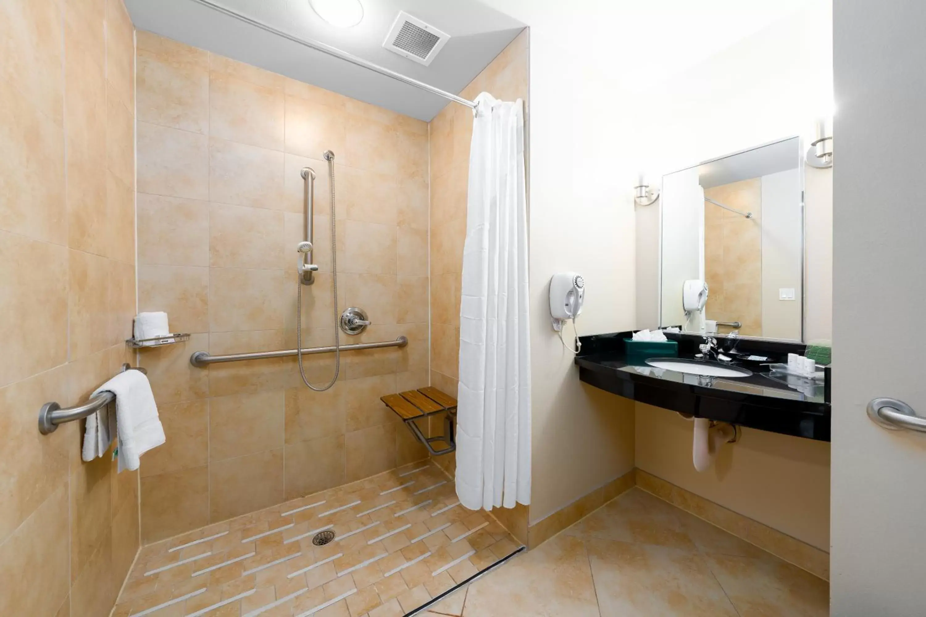 Bathroom in Holiday Inn Temple - Belton, an IHG Hotel