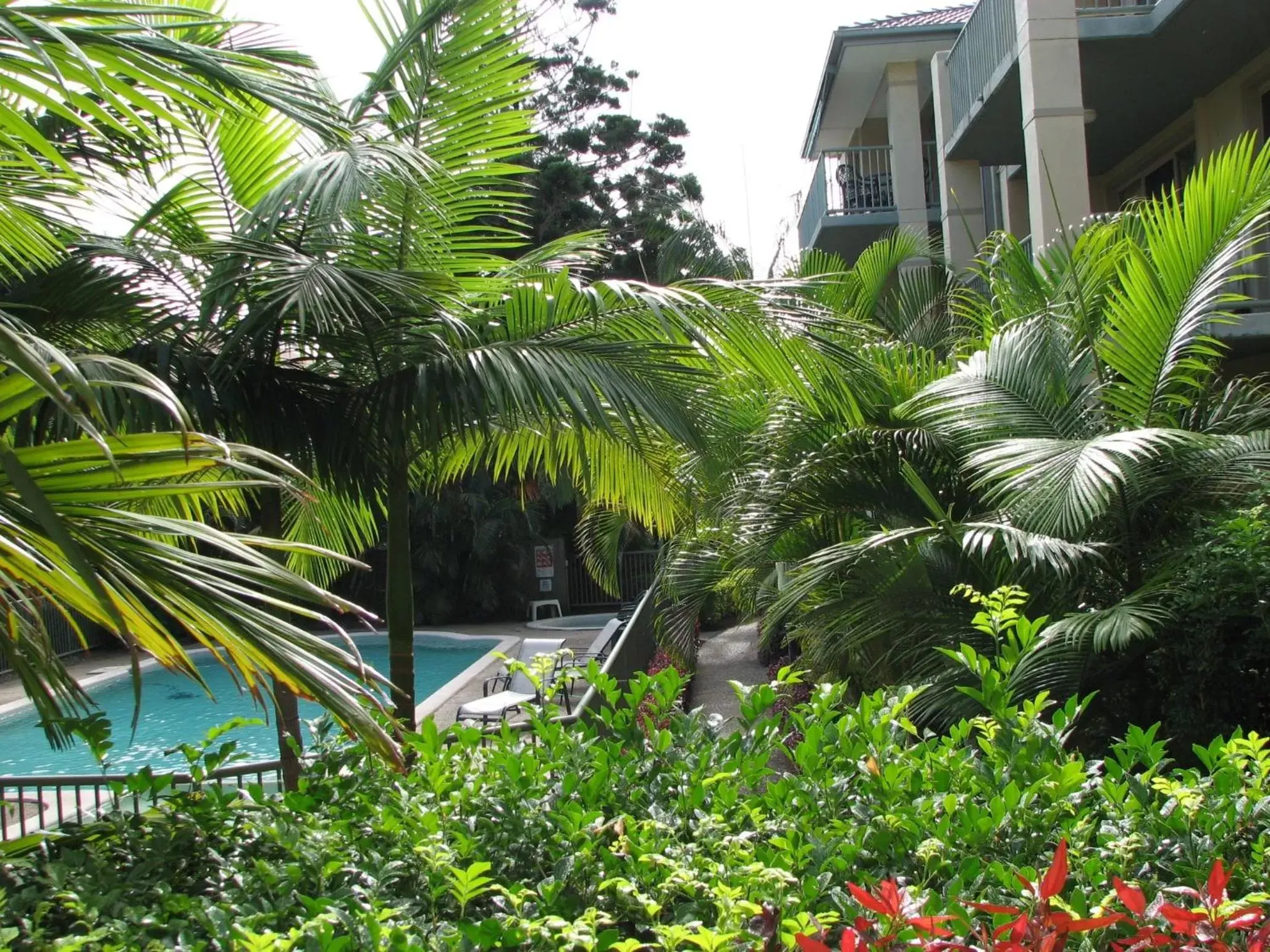 Garden, Swimming Pool in Bila Vista Holiday Apartments
