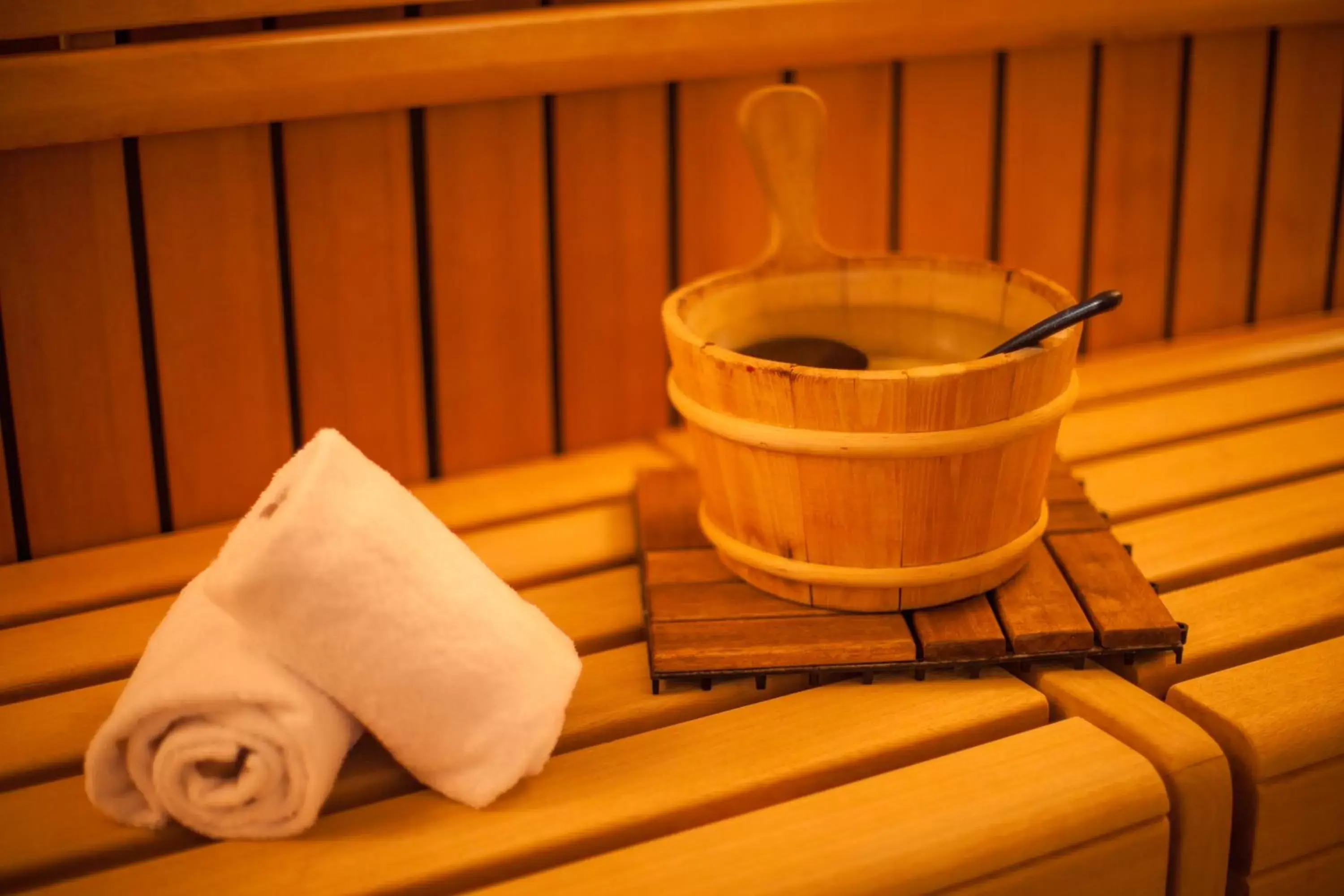 Sauna, Spa/Wellness in Novina Hotel Tillypark