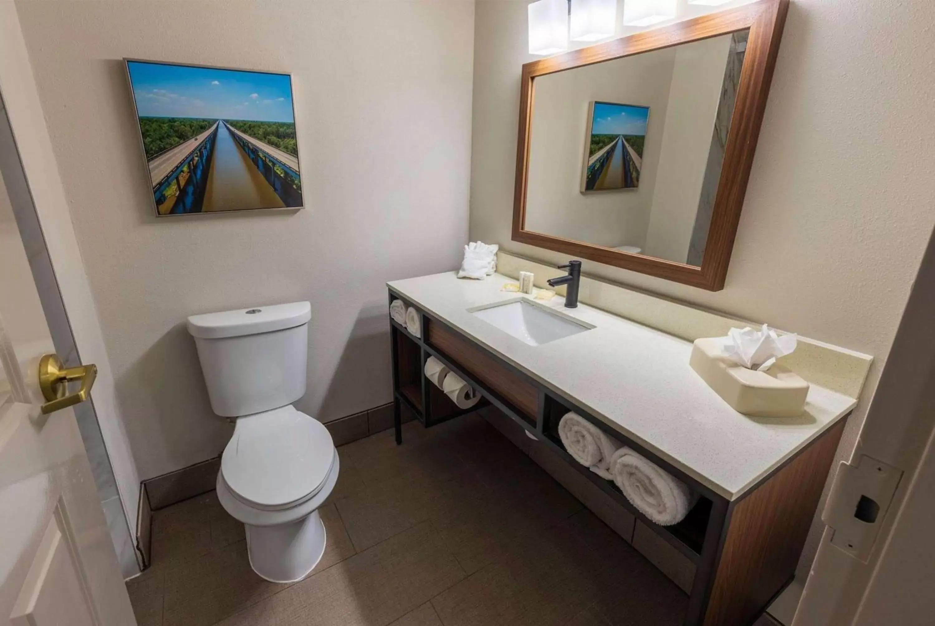 TV and multimedia, Bathroom in Wingate by Wyndham Lafayette Airport