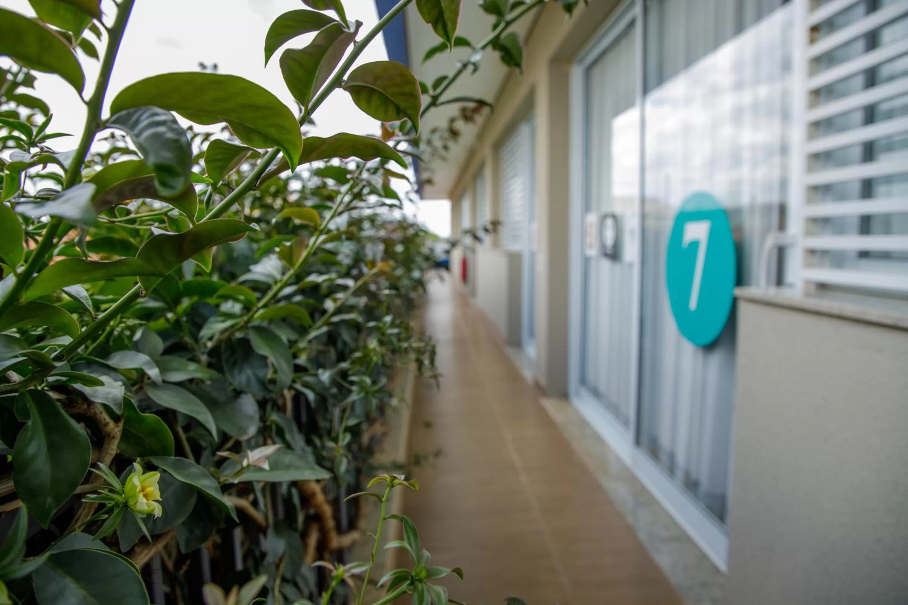 K1 RESIDENCE Taquaral