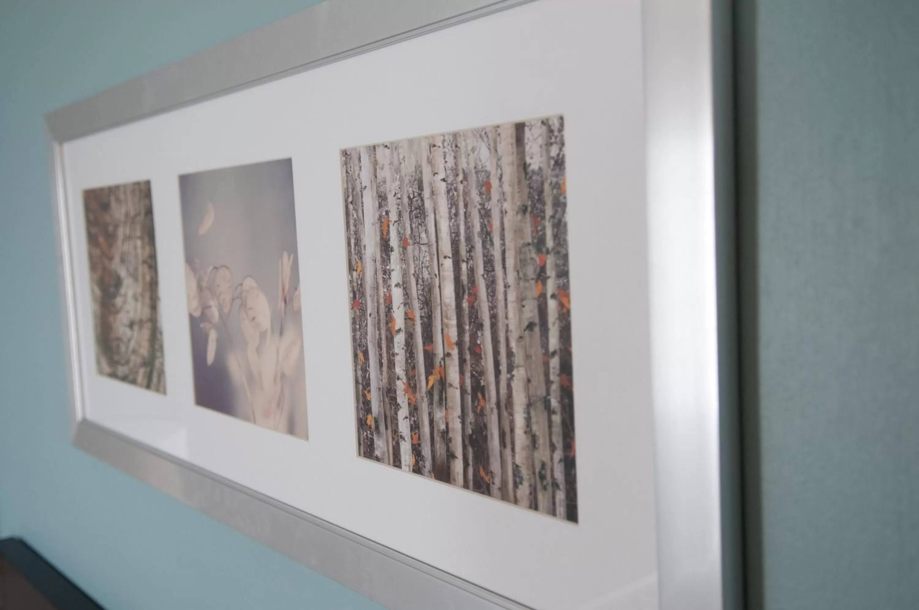 Photo of the whole room in Crowne Plaza Hotel and Suites Pittsburgh South by IHG