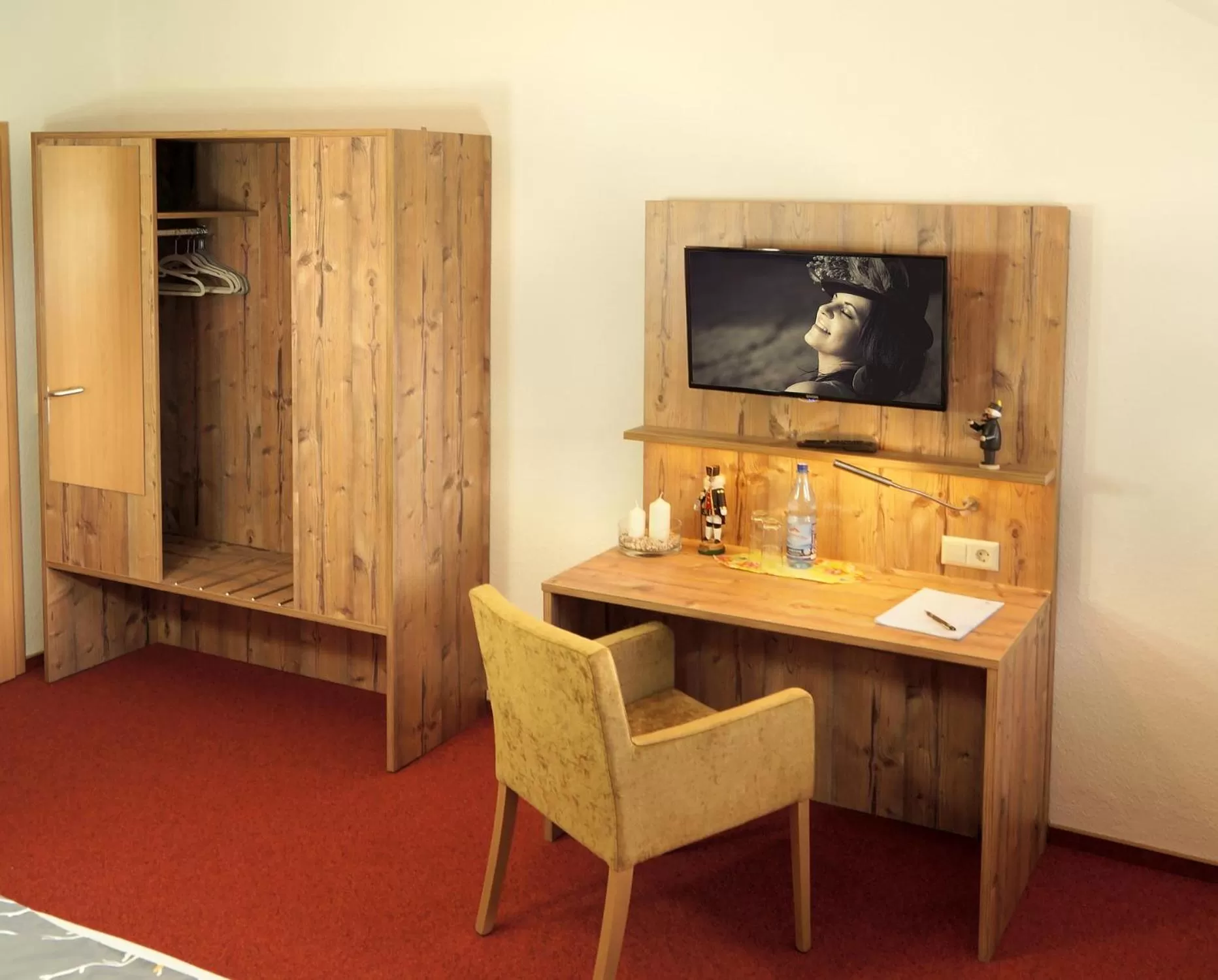 TV and multimedia in Erzgebirgshotel Misnia Bärenfels