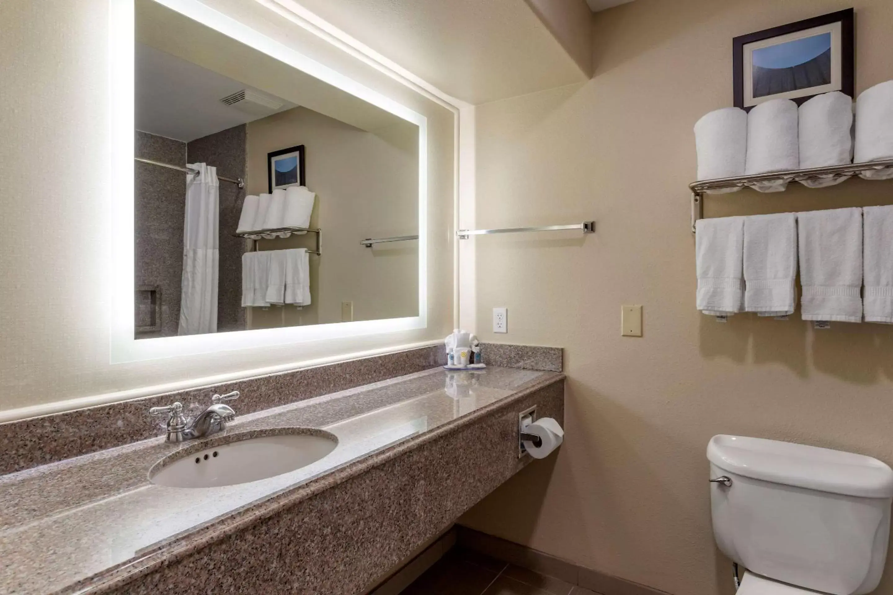 Bedroom, Bathroom in Comfort Suites near Texas Medical Center - NRG Stadium