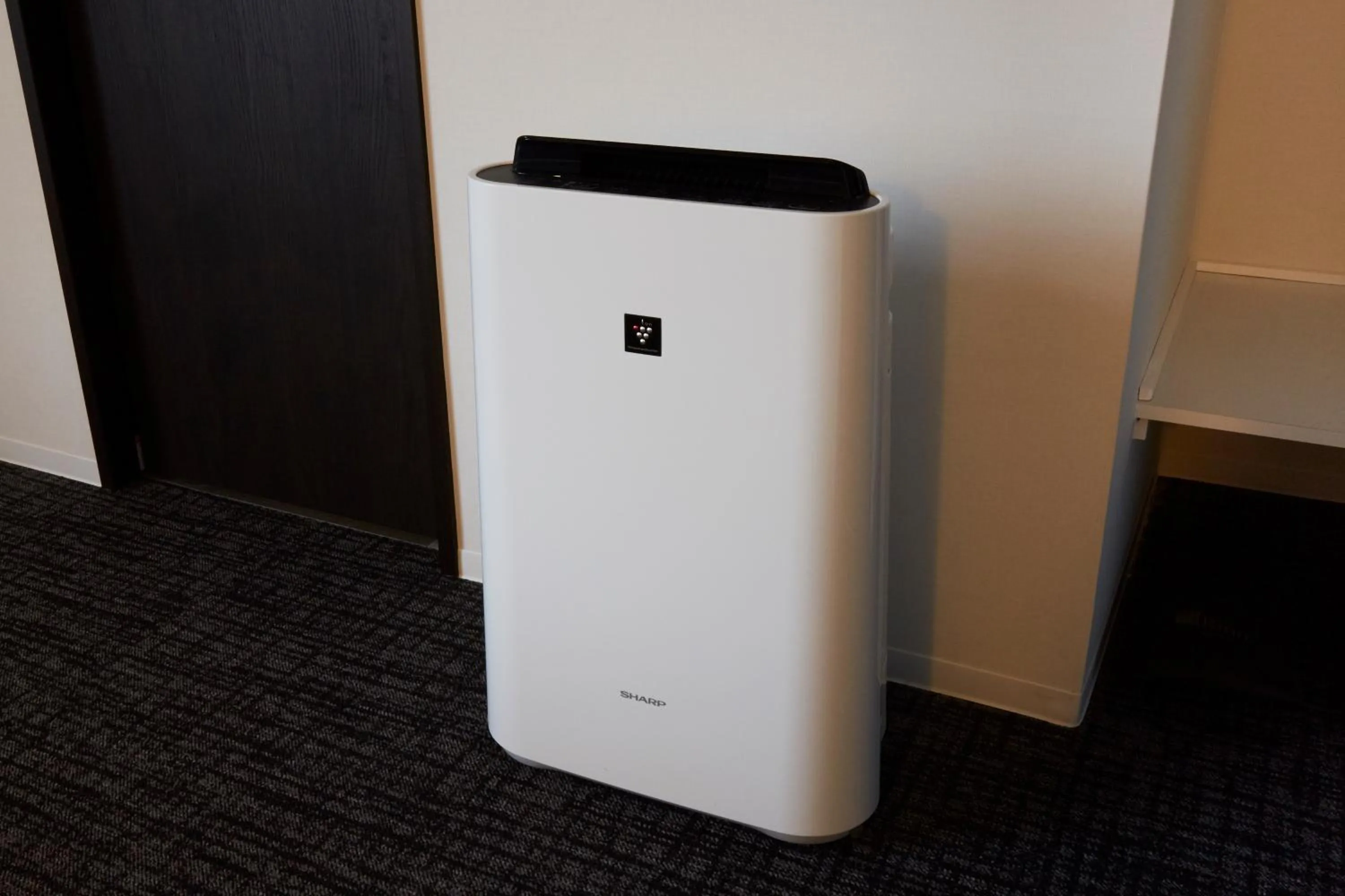 Other in Rinn Kamiebisu