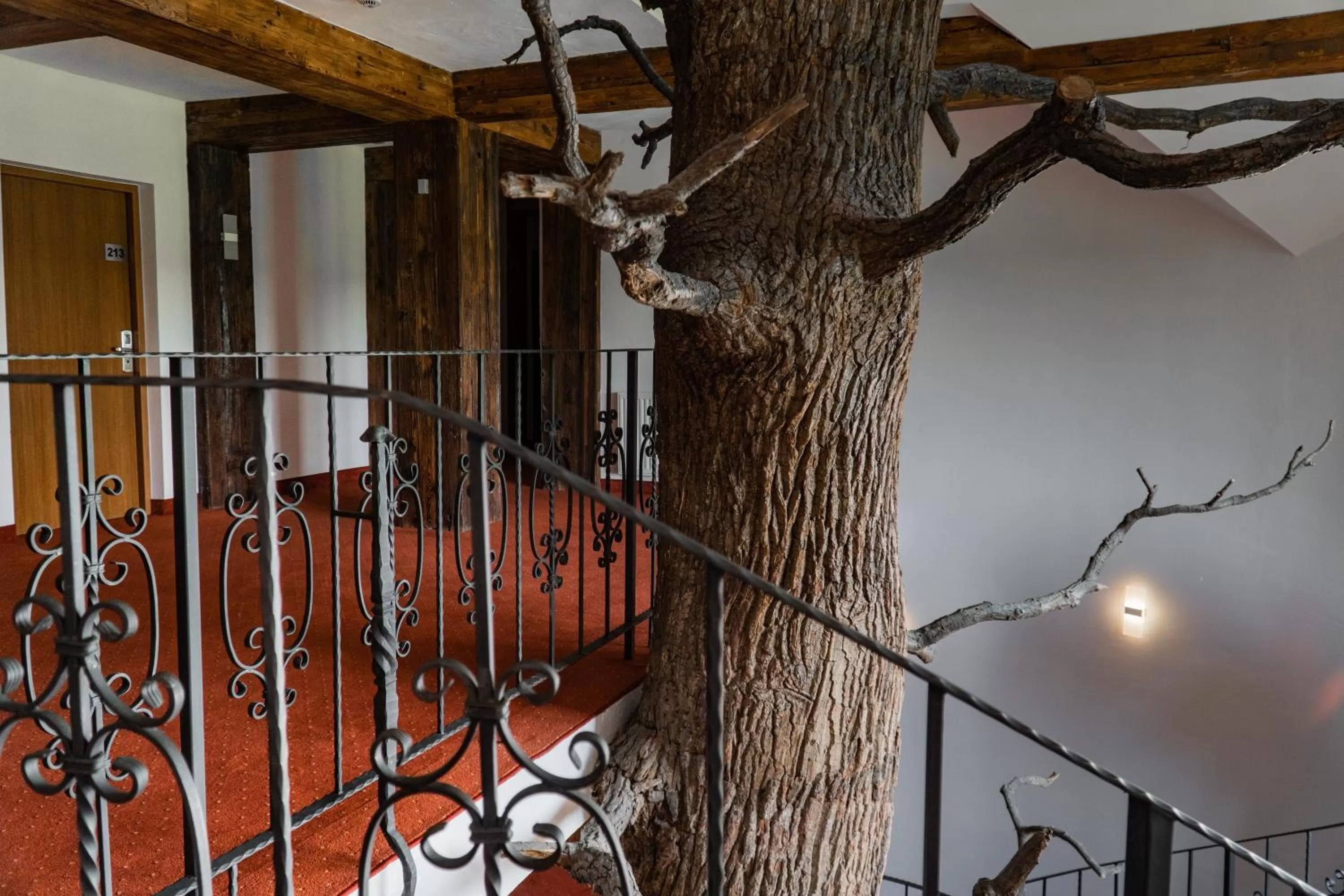 Other in HOTEL CICHA WODA NIEPORĘT