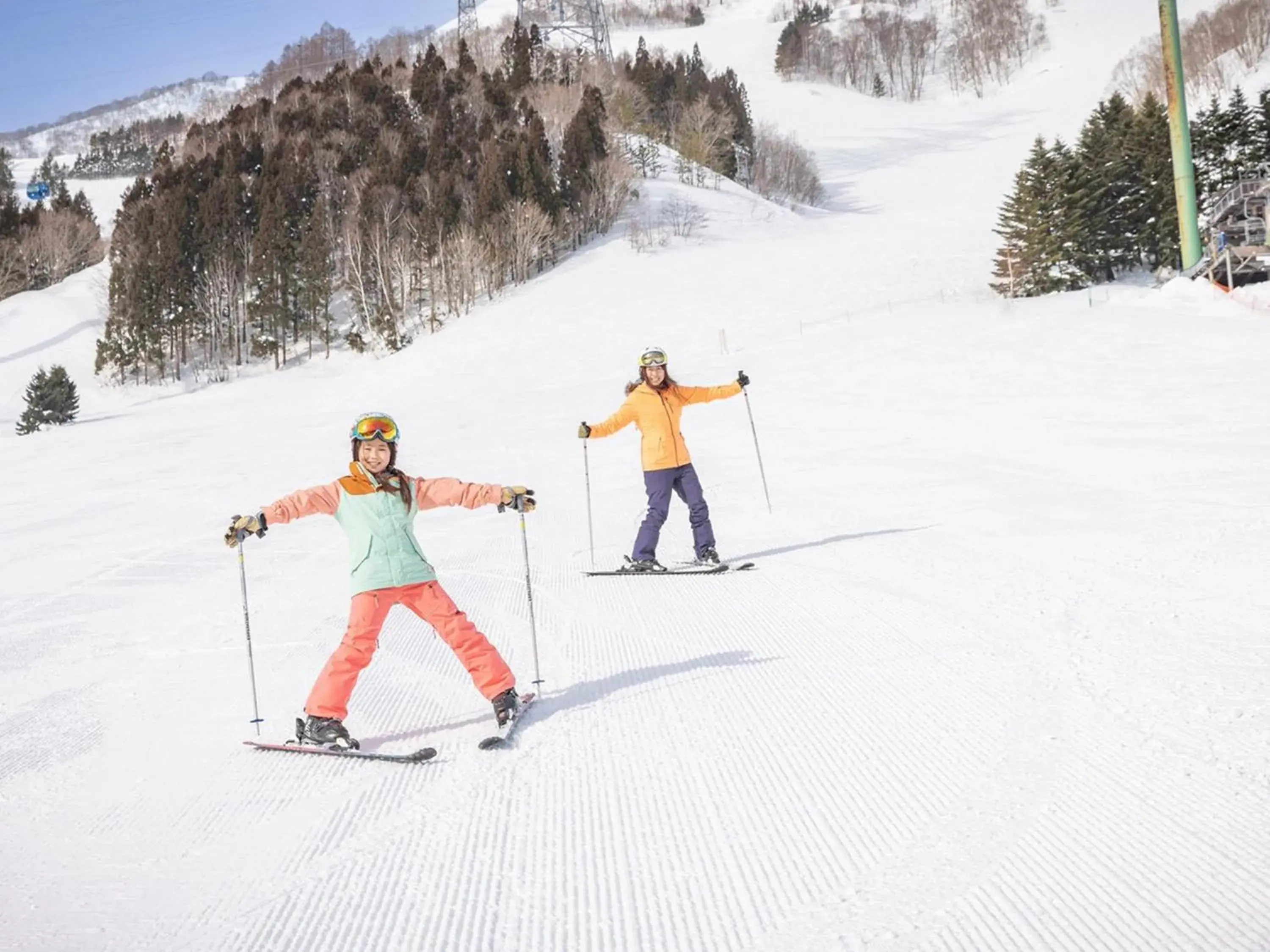 Winter, Skiing in Naeba Prince Hotel