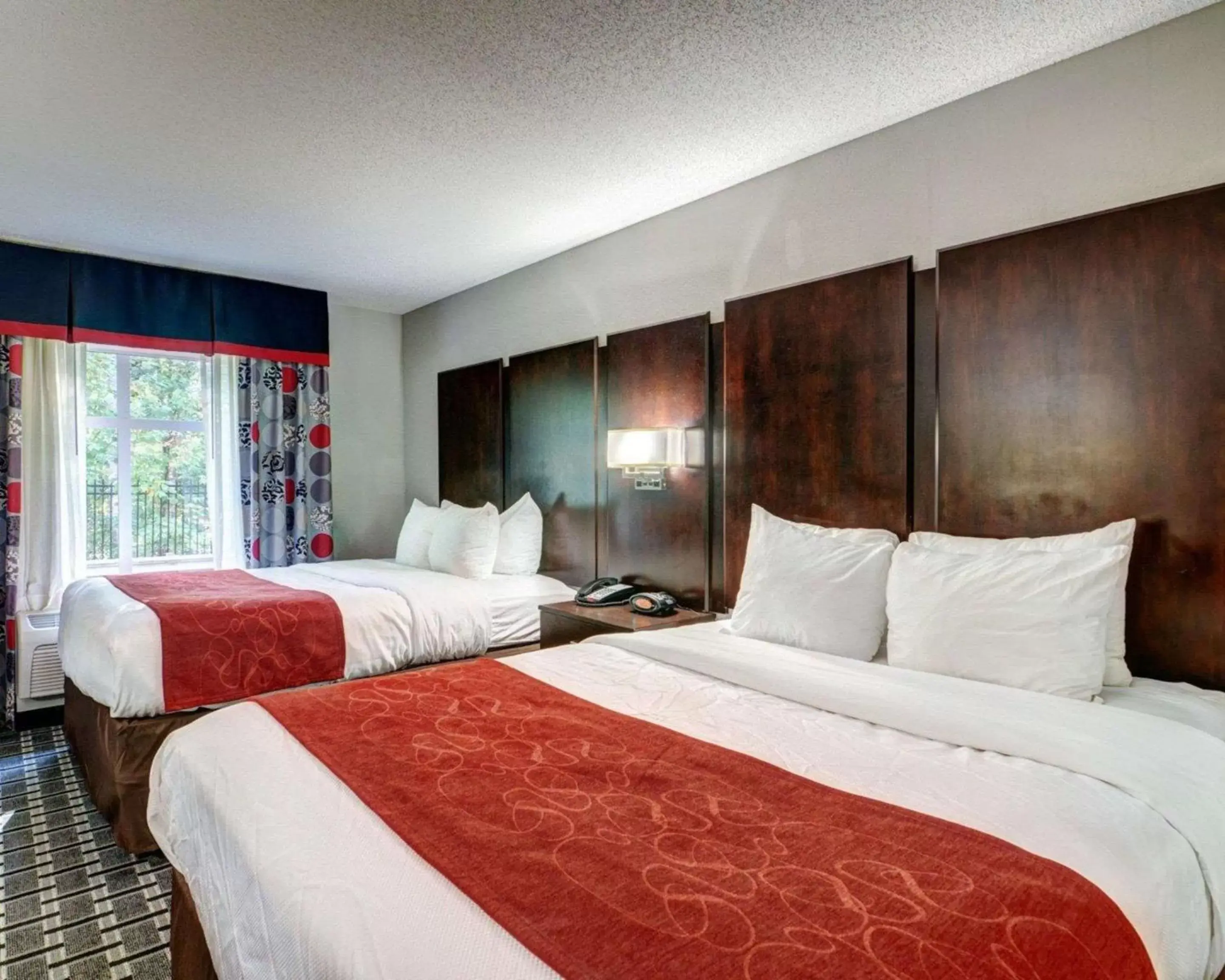 Photo of the whole room, Bed in Comfort Suites Williamsburg Historic Area