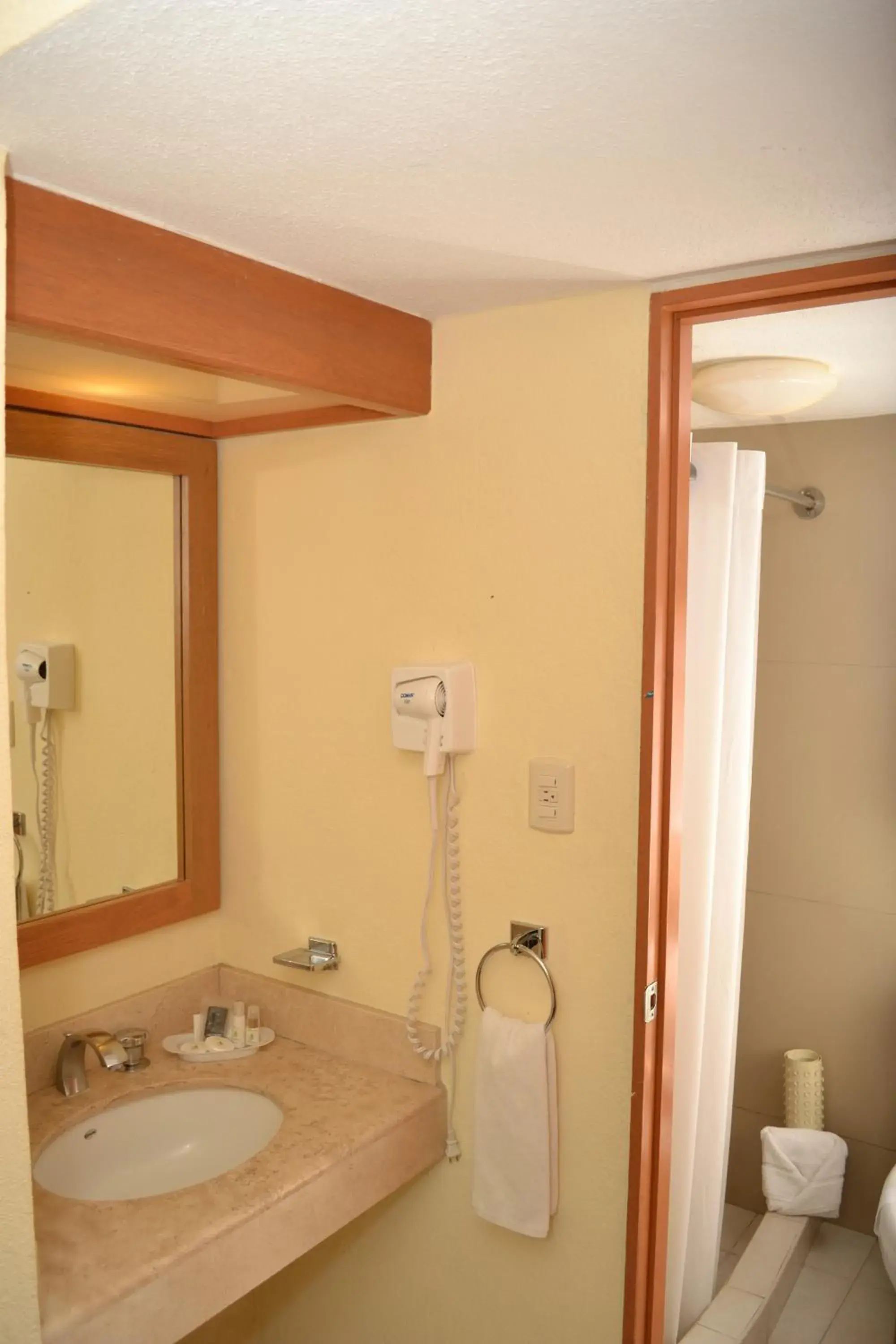 Decorative detail, Bathroom in La Posada Hotel y Suites
